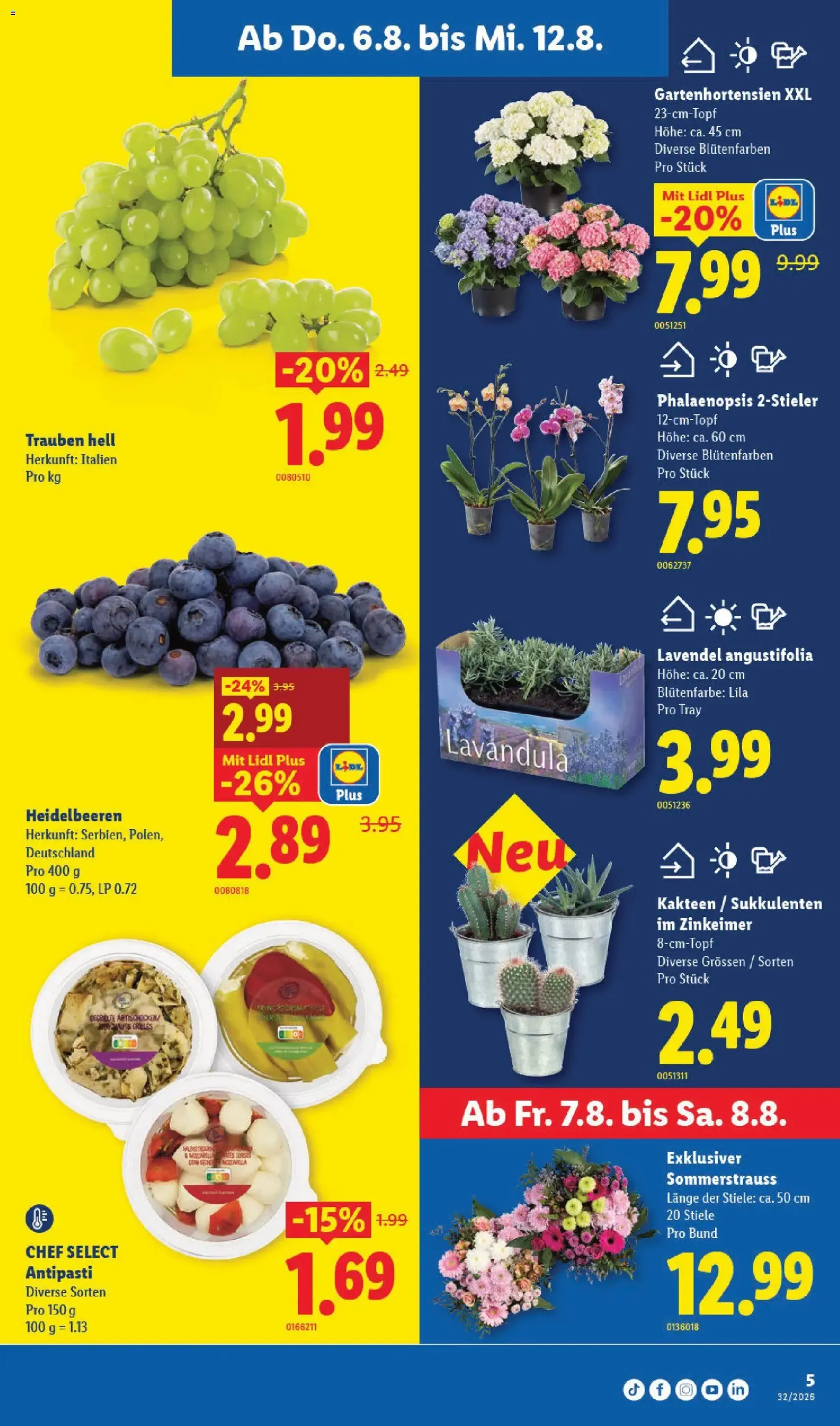 Lidl aktionen - Gültiger Prospekt ab 06.08.2026, Seite 5 von insgesamt 32