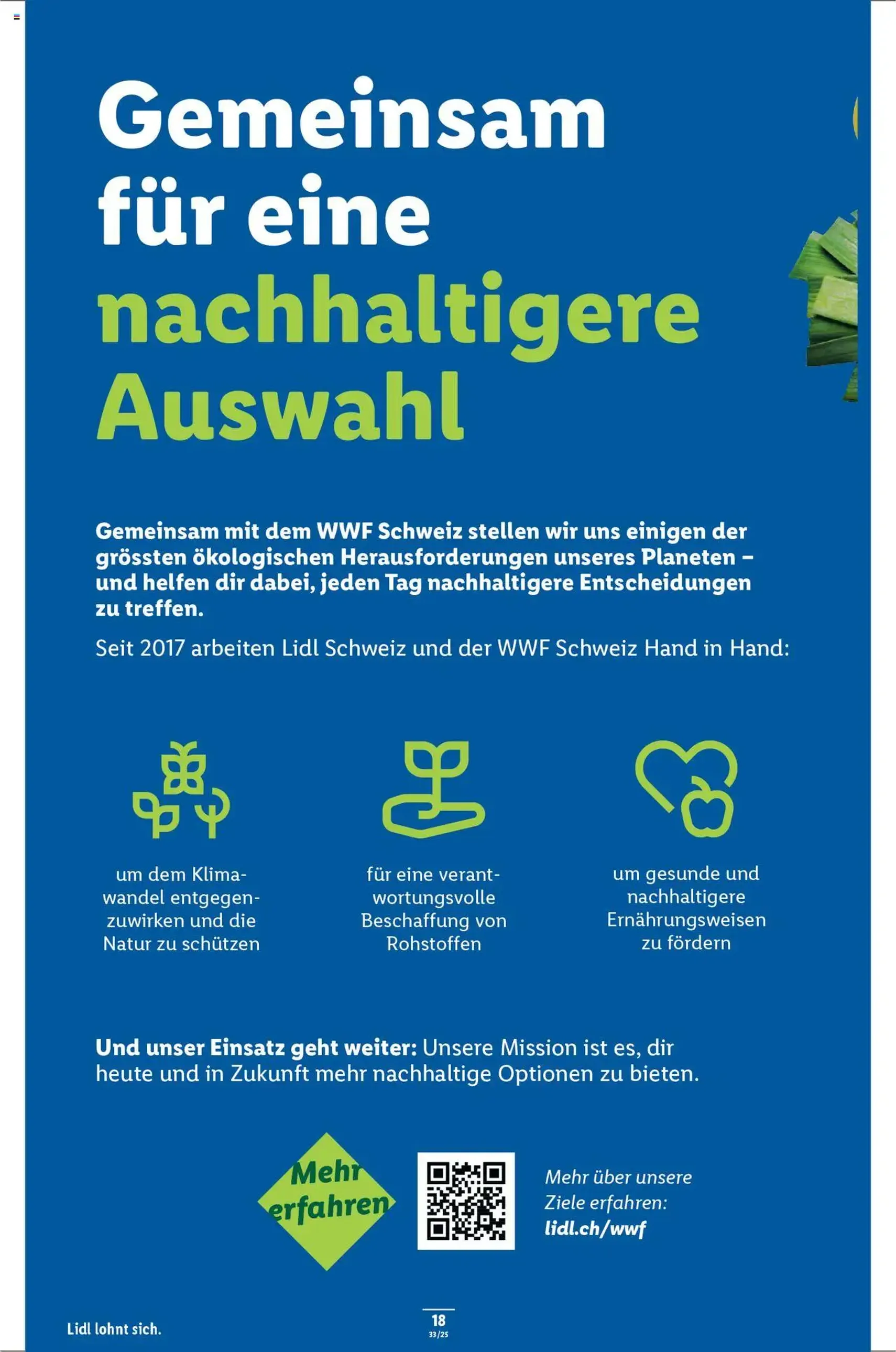 Lidl Aktionen - Gültiger Prospekt ab 14.08.2025, Seite 20 von insgesamt 34