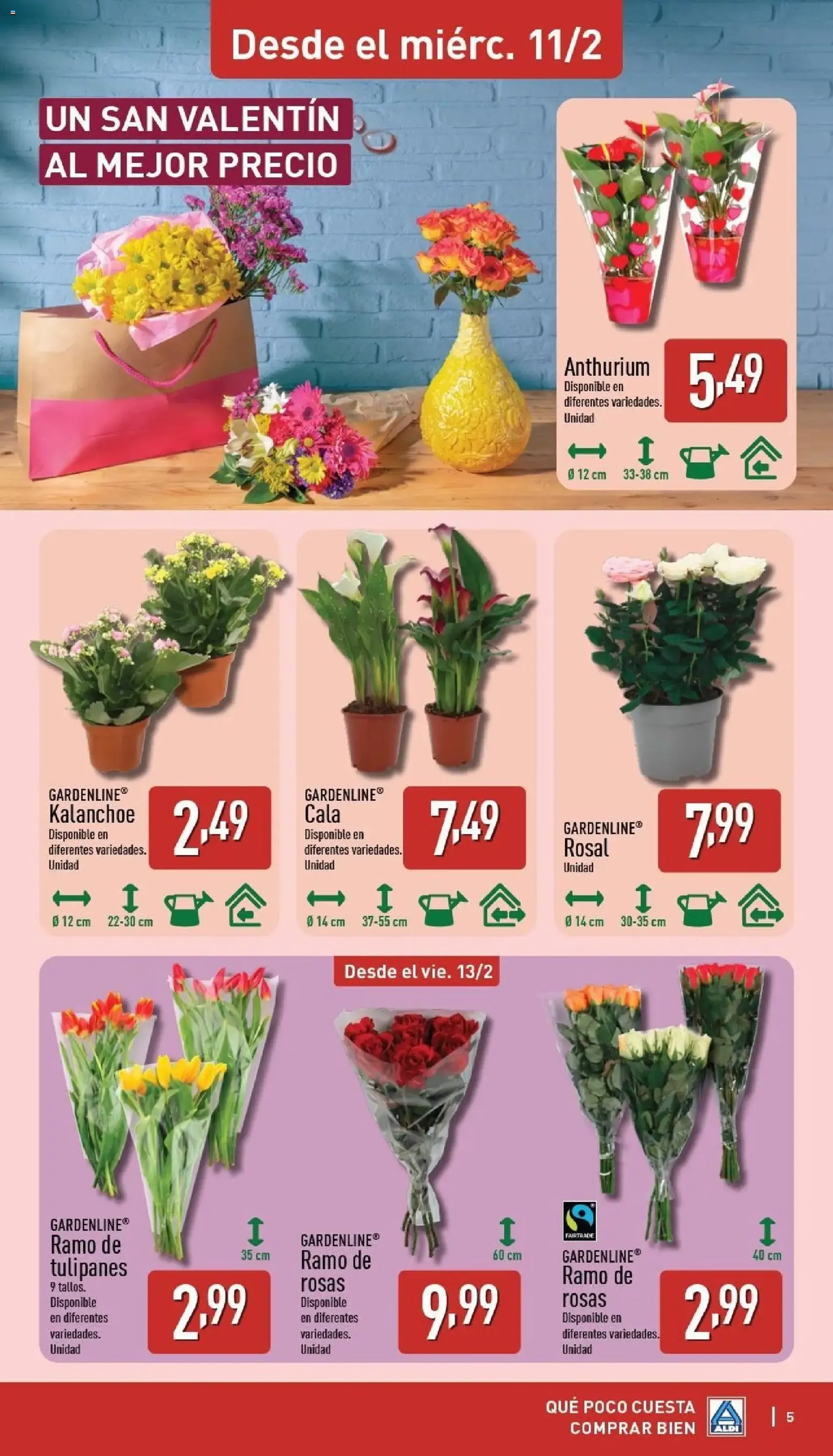 Aldi folleto Península - folleto válido desde 09/02/2026 página 5 de 28