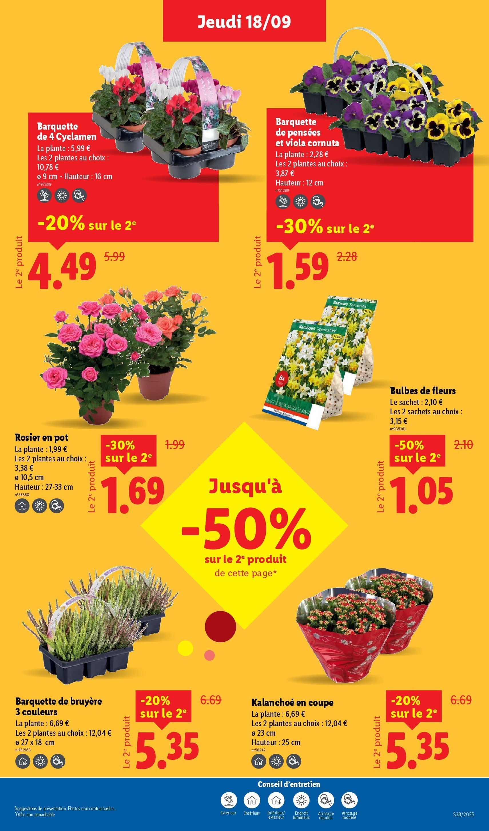 LIDL catalogue semaine 38 - brochure valable à partir du 18/09/2025, page 31 sur 75