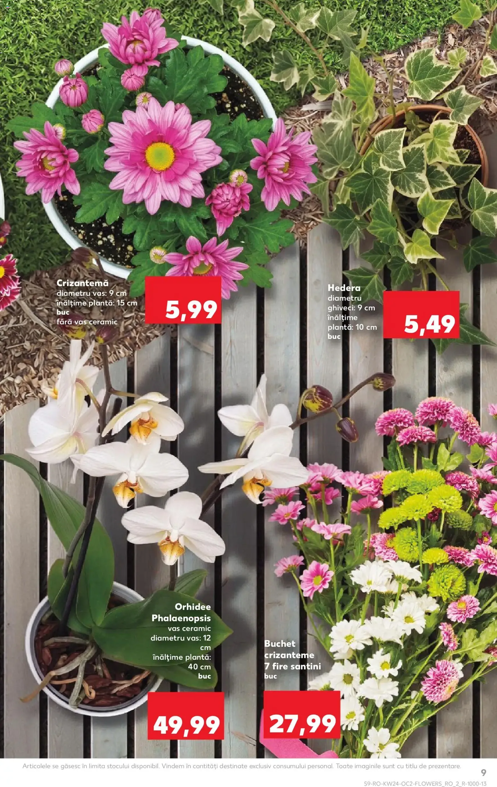 Kaufland Catalog - cataloage valabile începând cu 10.06.2026 pagina 9 din 58