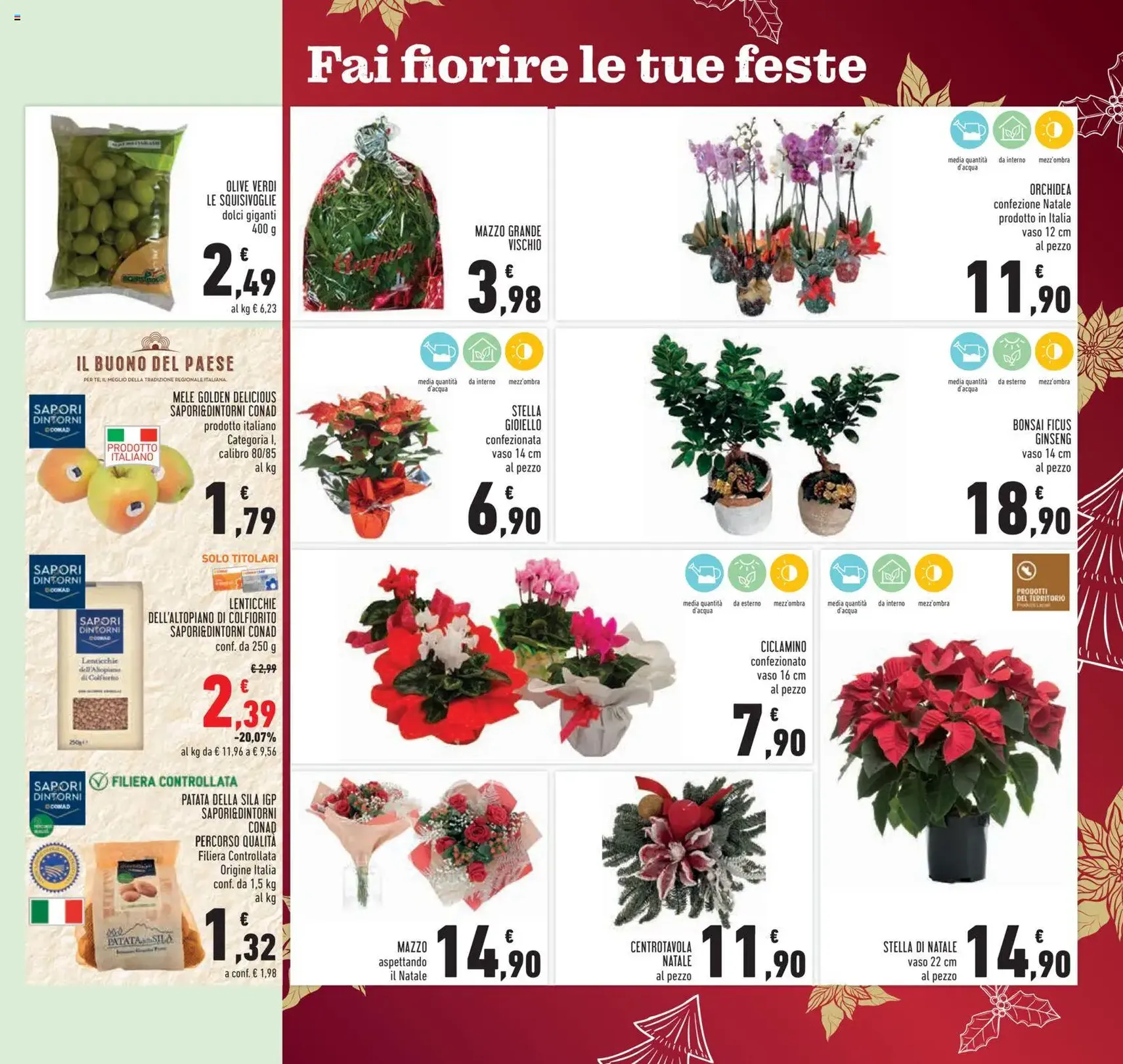 Volantino Conad - volantino valido dal 10/12/2025 pagina 15 di 32