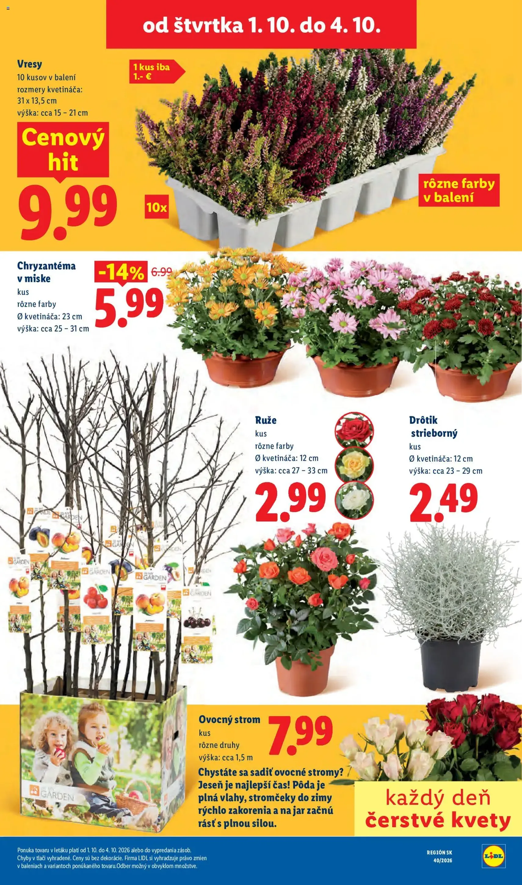 Lidl leták - platný leták od 28.09.2026 strana 81 z 100