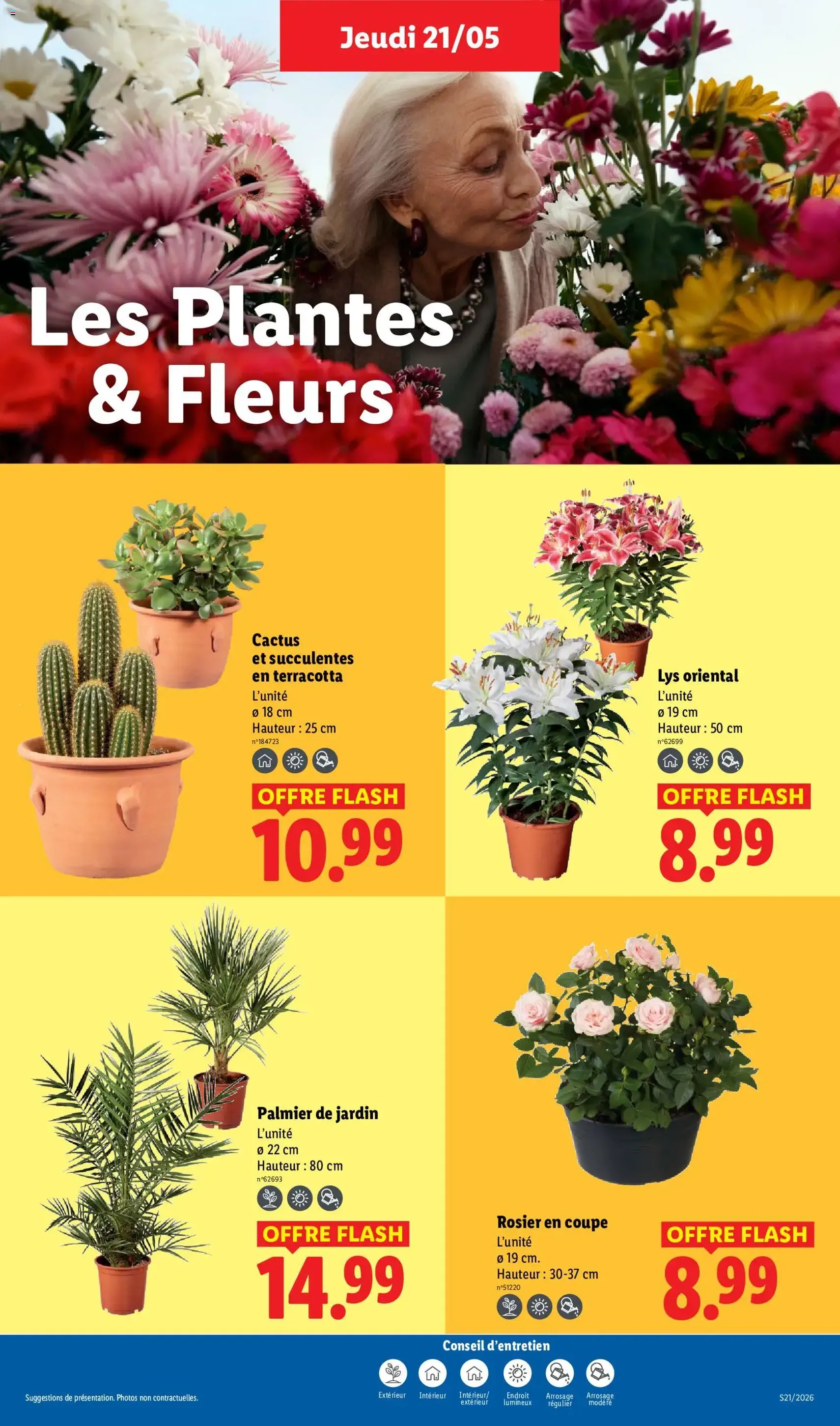 LIDL catalogue - brochure valable à partir du 21/05/2026, page 25 sur 70