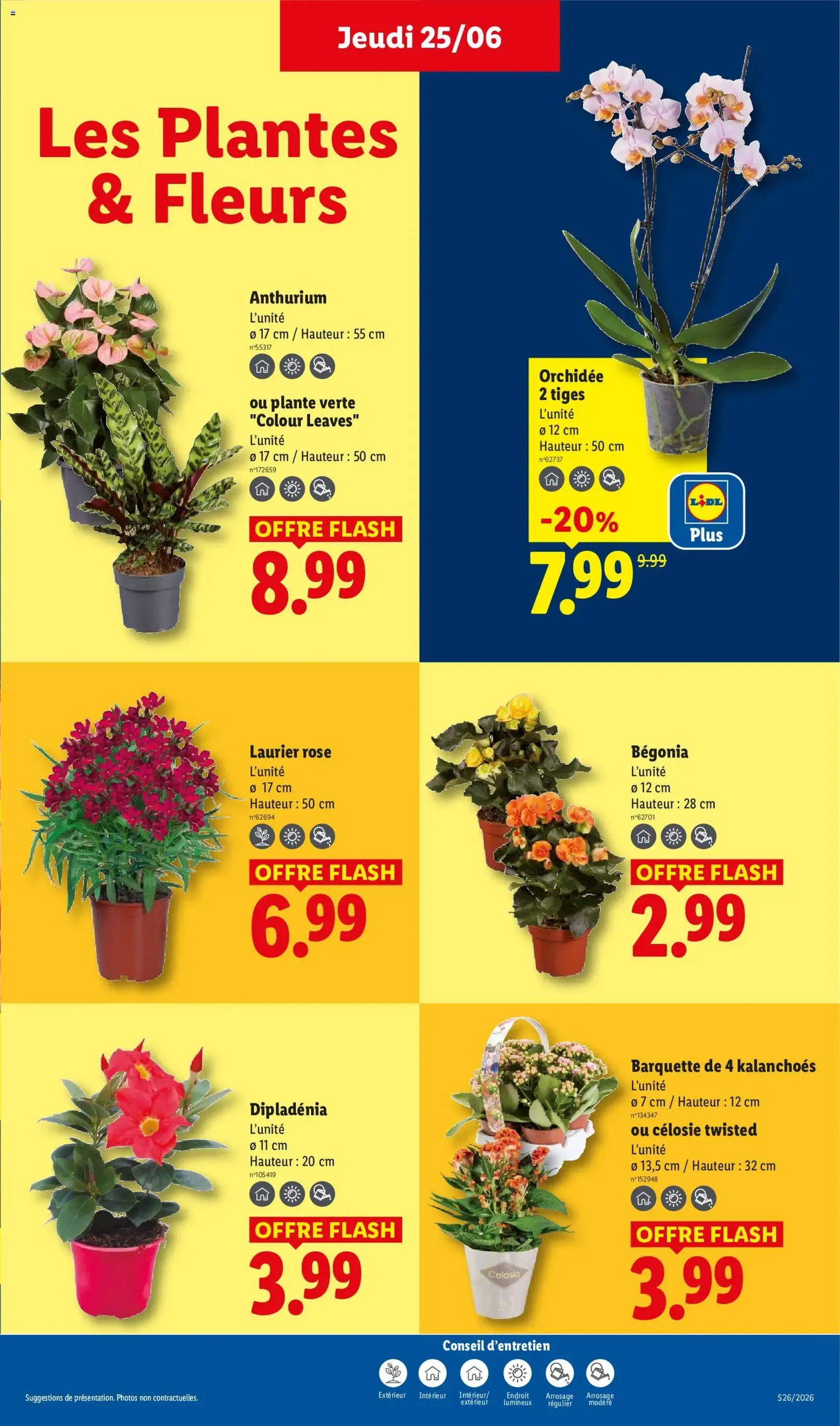 LIDL catalogue - brochure valable à partir du 25/06/2026, page 29 sur 72