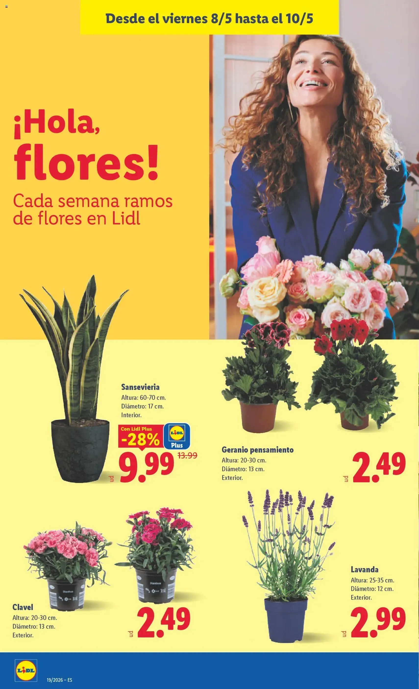 Lidl folleto - folleto válido desde 04/05/2026 página 50 de 53
