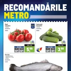 Metro Catalog - previzualizare cataloage valabilă începând cu 08.06.2026