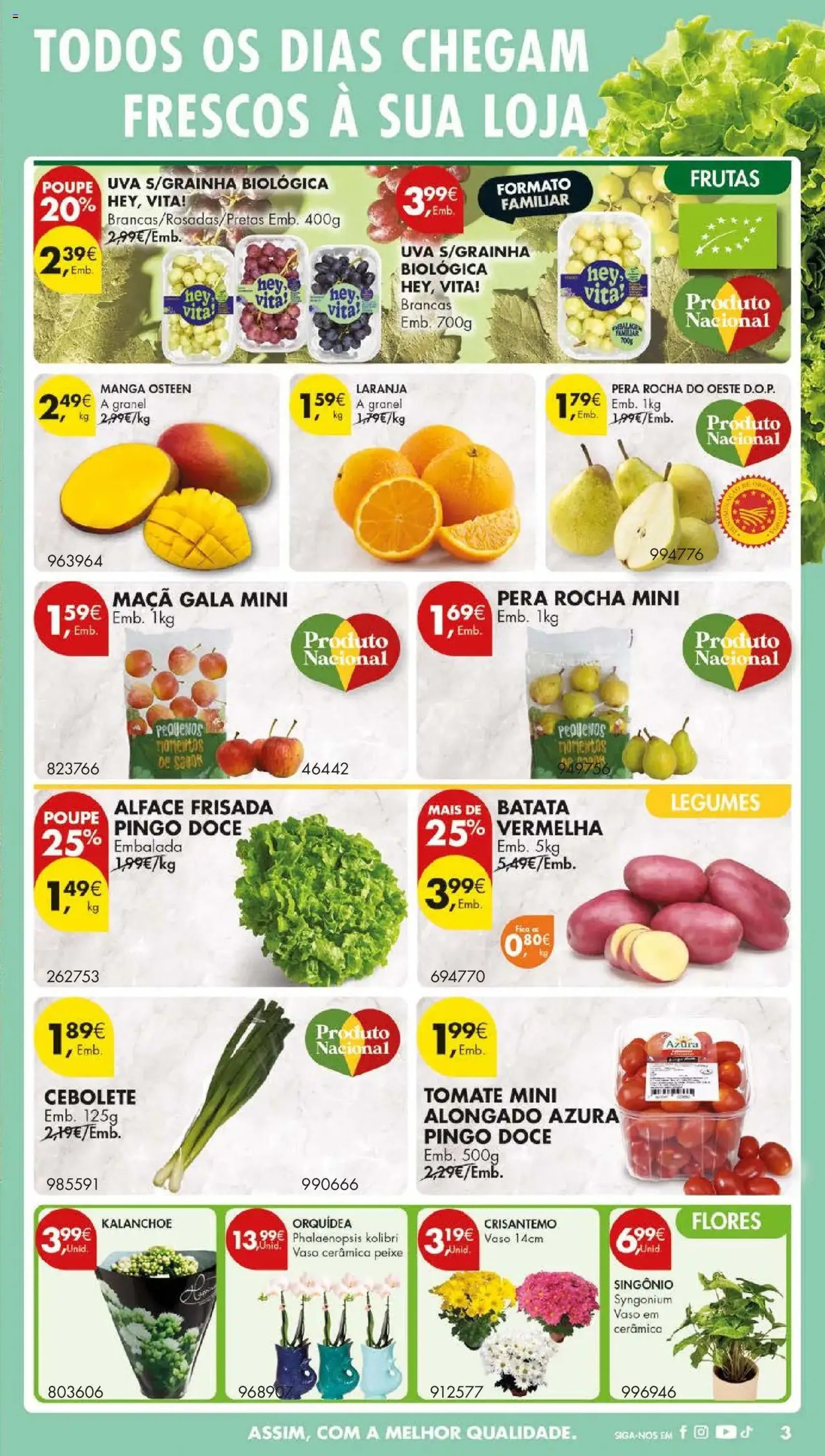 Pingo Doce folheto - folheto válido a partir de 30/09/2025 página 5 de 63