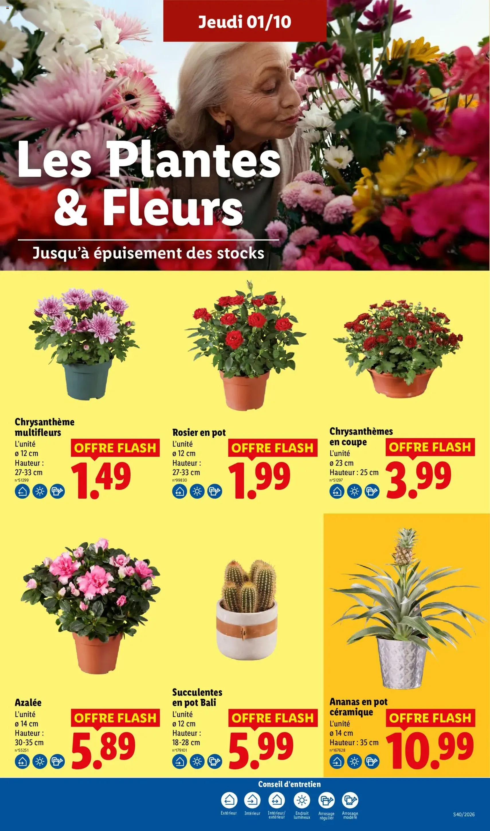 LIDL catalogue - brochure valable à partir du 01/10/2026, page 29 sur 57