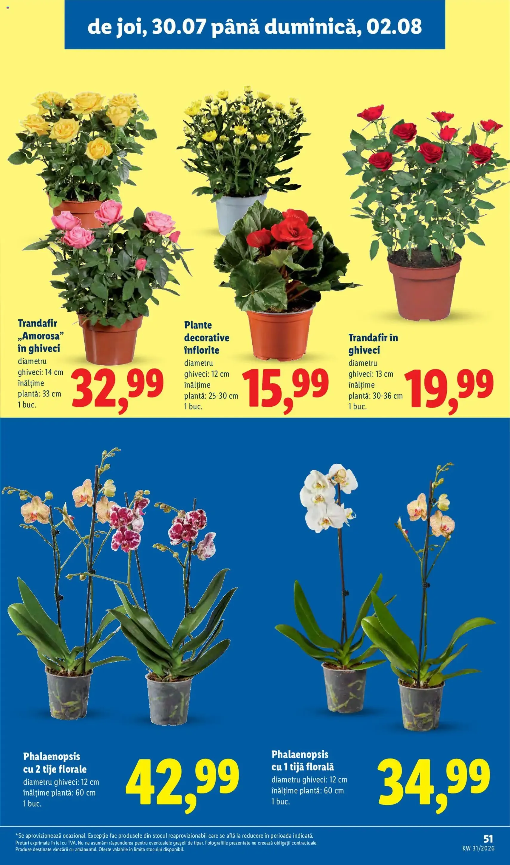 Lidl Catalog - cataloage valabile începând cu 27.07.2026 pagina 51 din 80