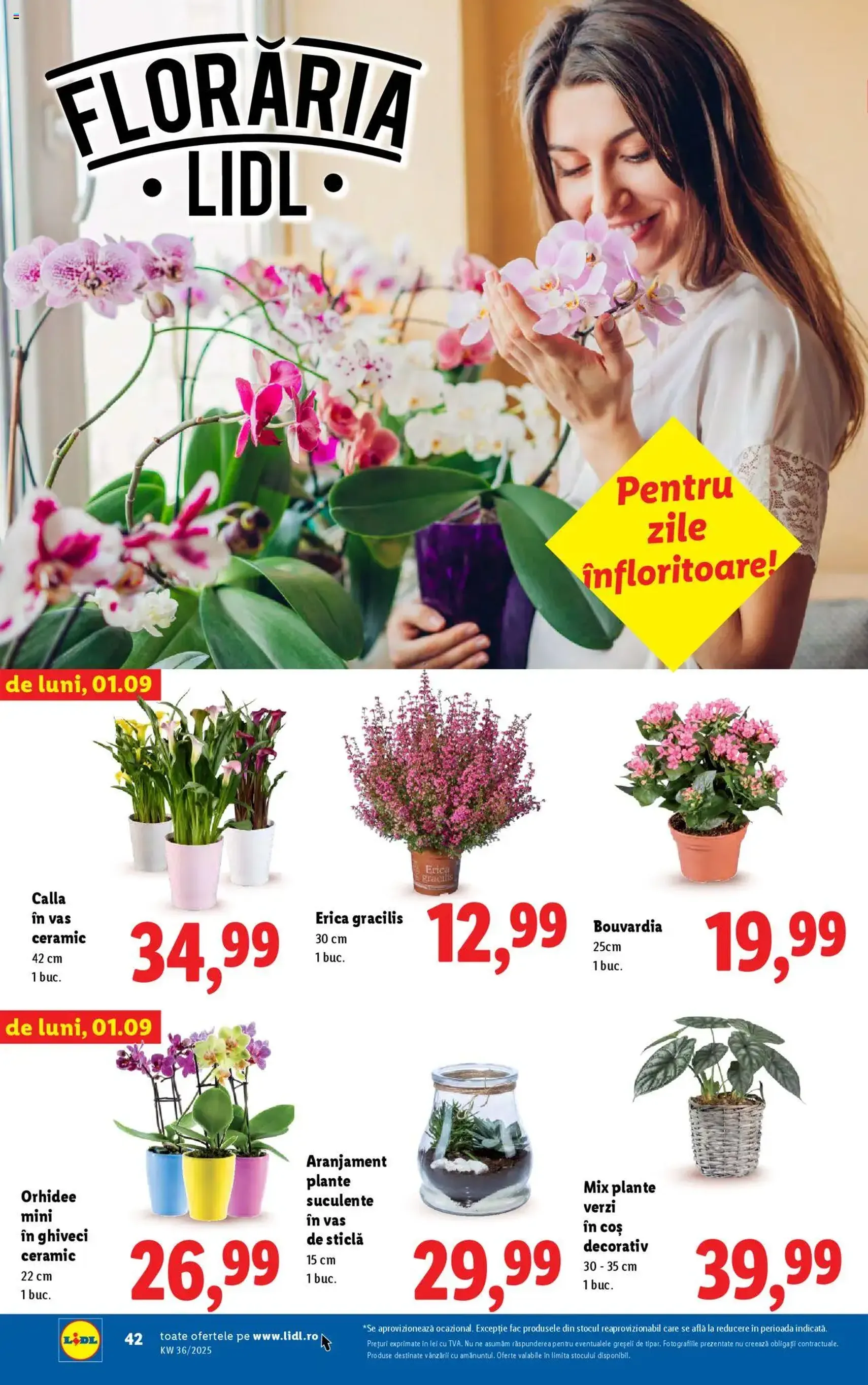 Catalog Lidl - cataloage valabile începând cu 01.09.2025 pagina 42 din 76 Catalog Lidl - cataloage valabile începând cu 01.09.2025 pagina 42 din 76