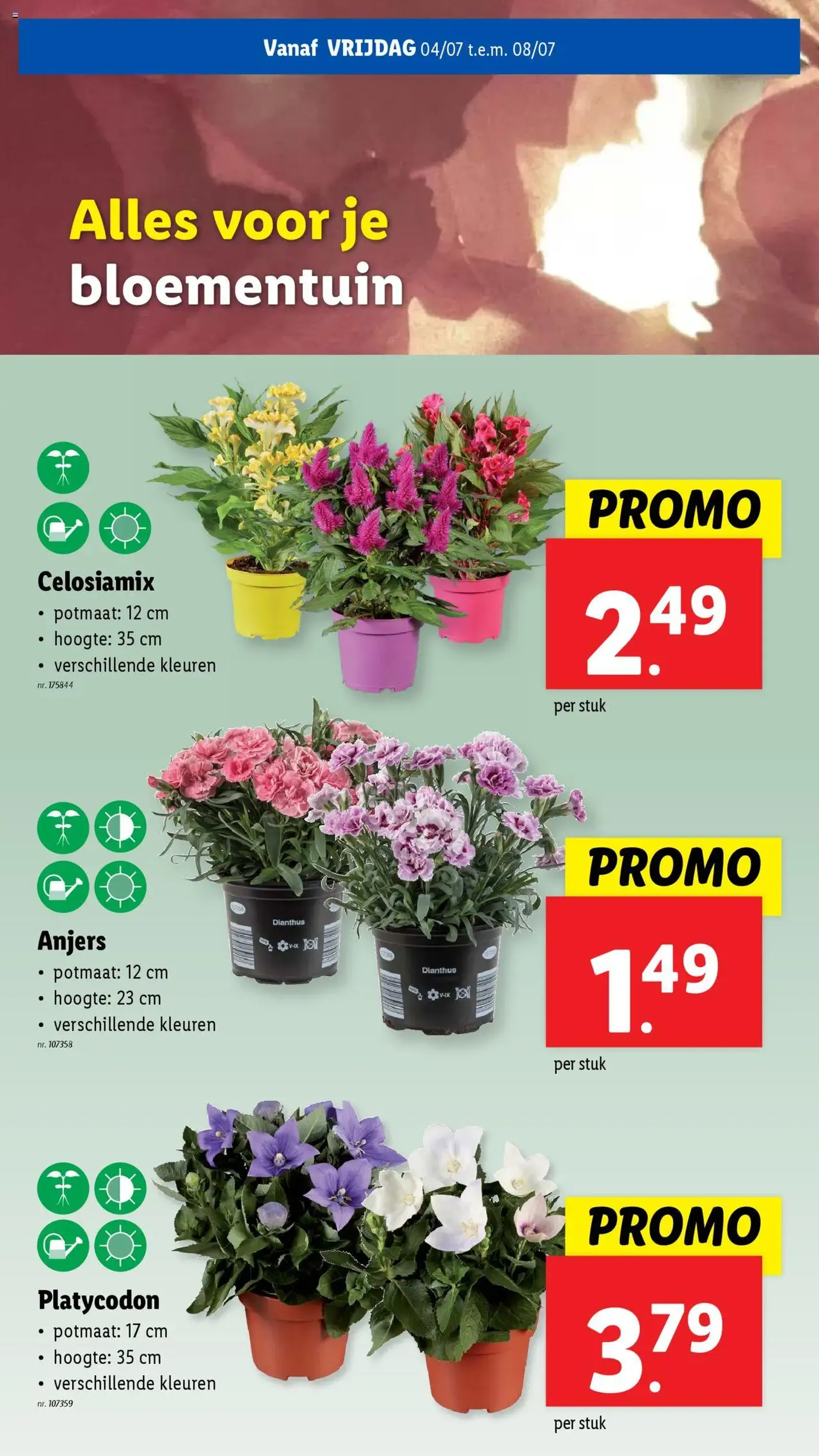 Lidl folder week 27 - geldige folder vanaf 02/07/2025 pagina 53 van 60