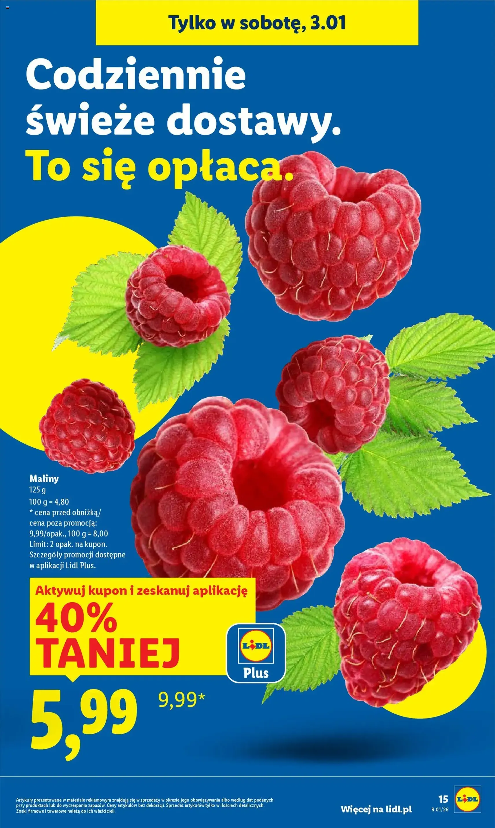 Lidl Gazetka - ważny gazetka od 02.01.2026 strona 17 z 51