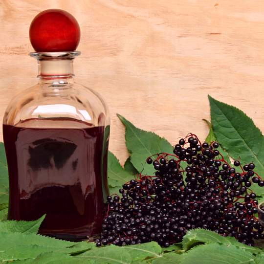 Anteprima ricetta Sciroppo di sambuco da bacche di sambuco nero