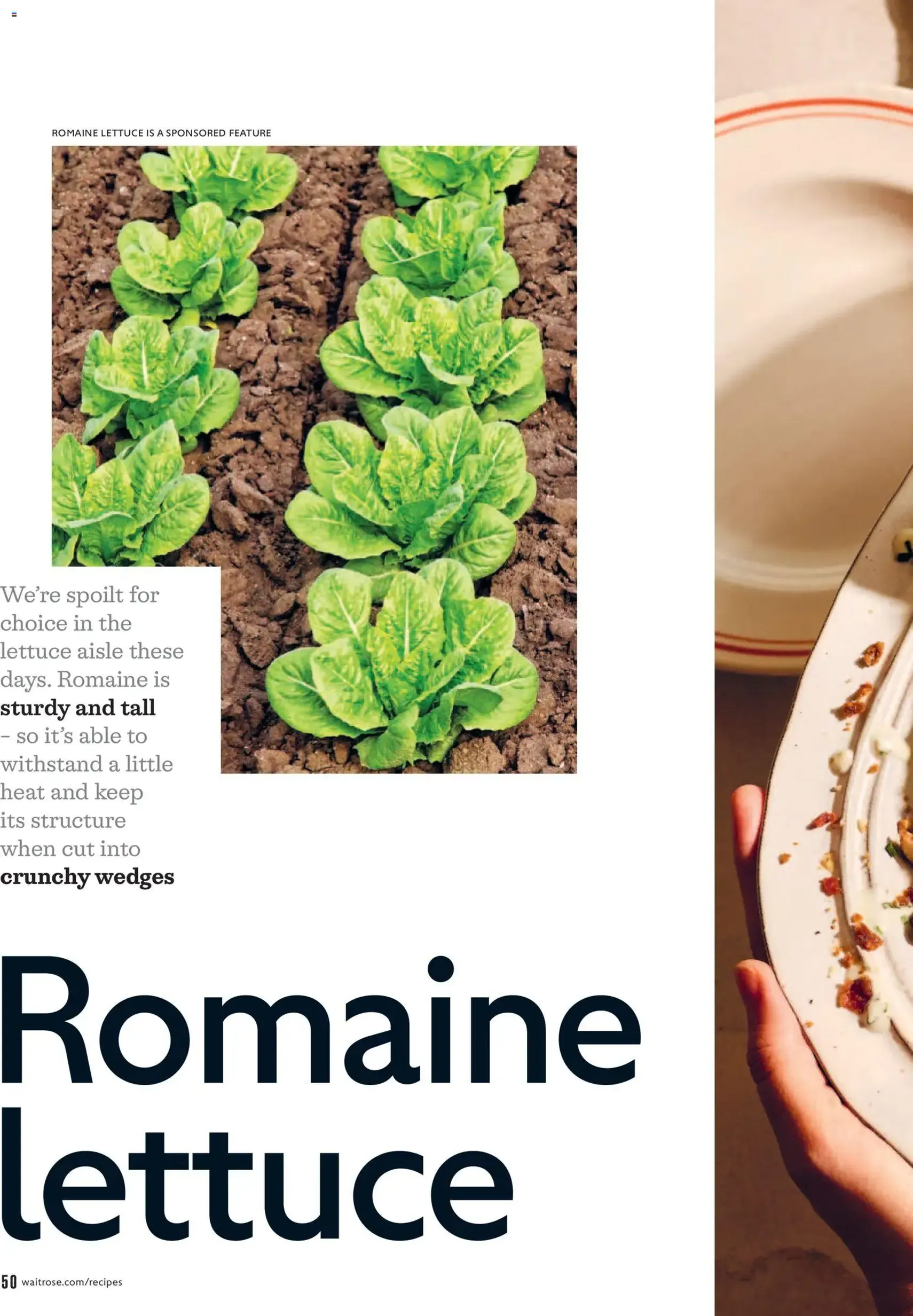 Waitrose - Offers - valid flyer from 01/07/2026, page 50 of 156