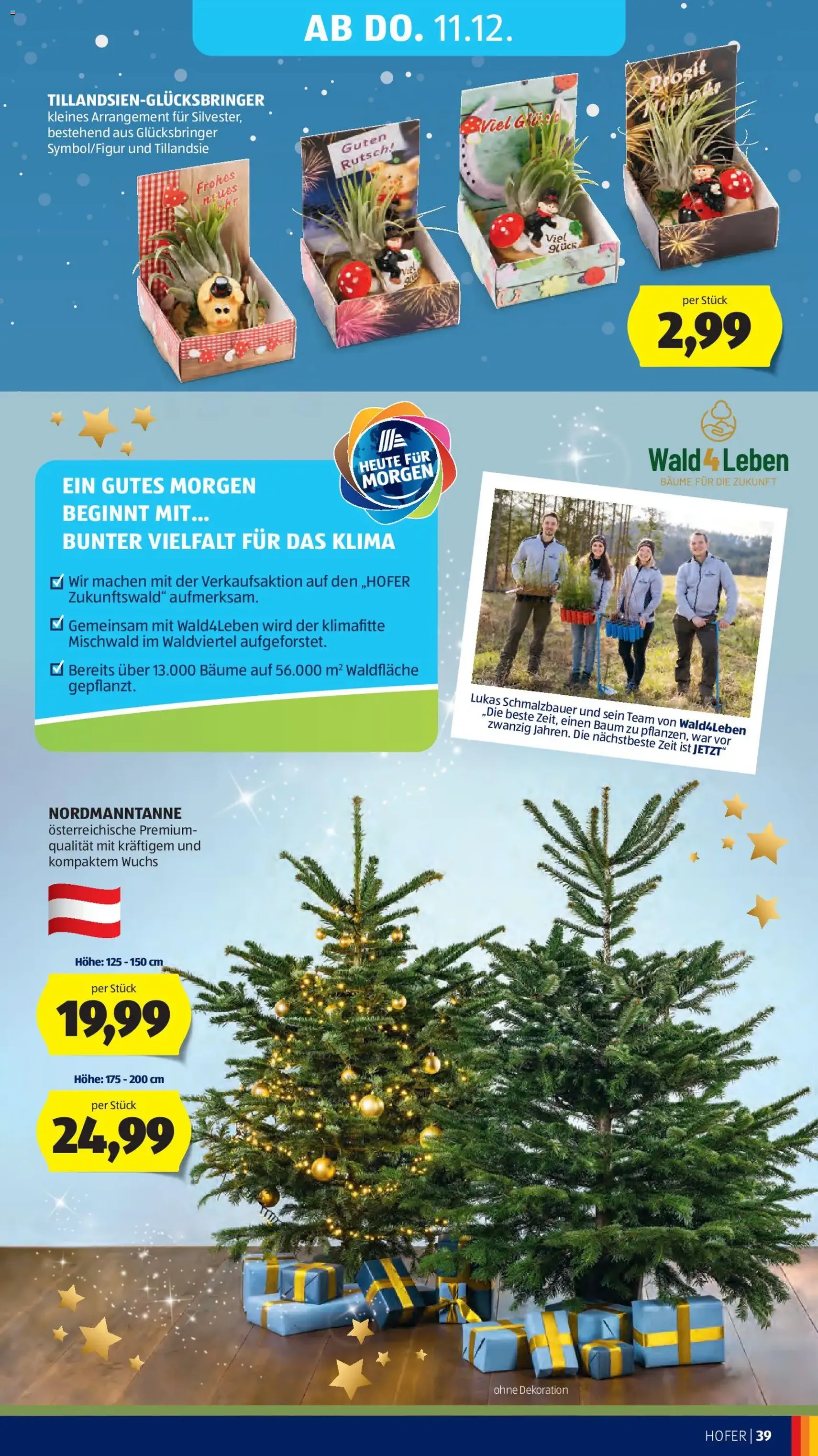 Hofer Flugblatt - Gültiger Prospekt ab 05.12.2025, Seite 53 von insgesamt 60
