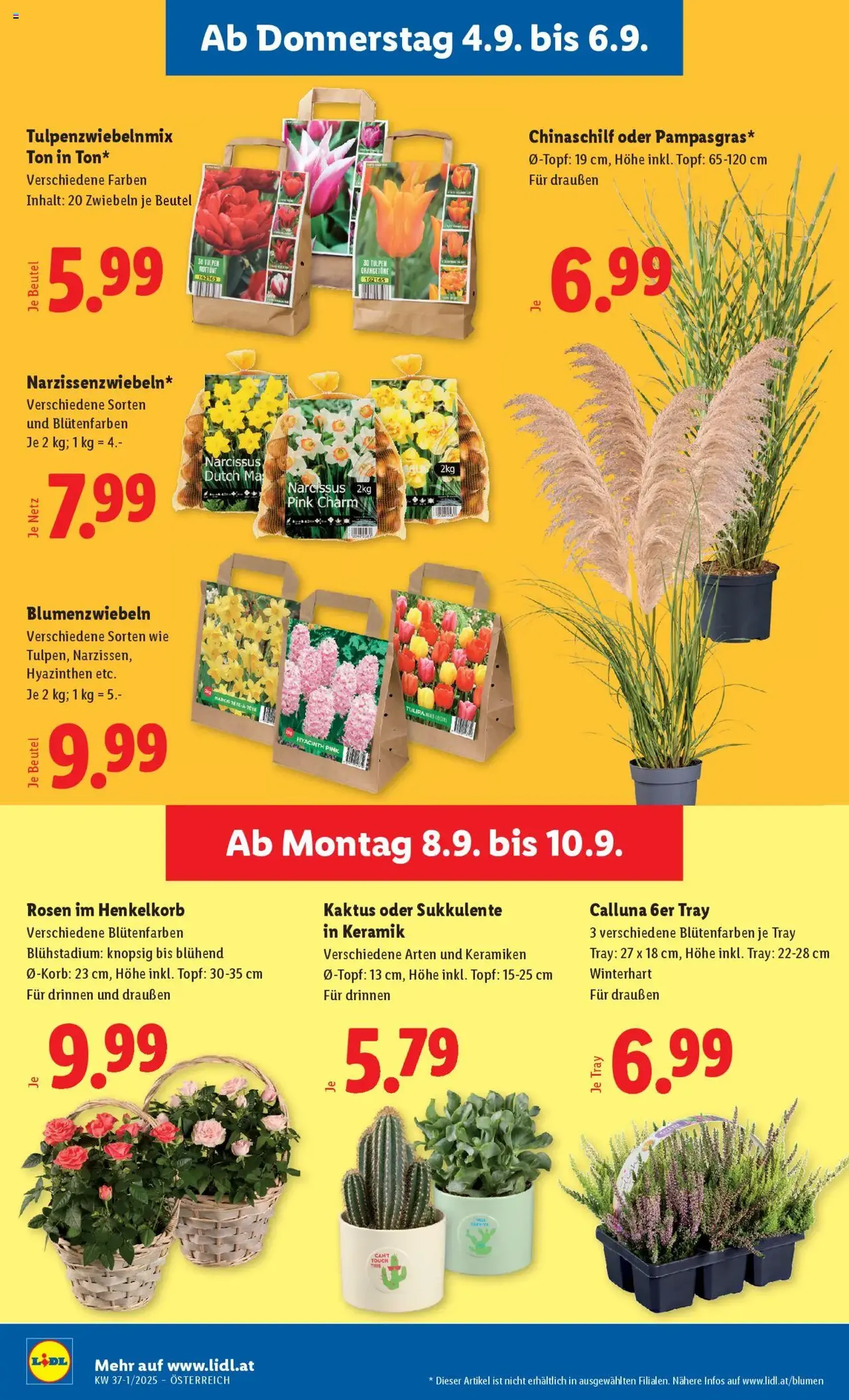 Lidl Flugblatt - Gültiger Prospekt ab 04.09.2025, Seite 30 von insgesamt 49 Lidl Flugblatt - Gültiger Prospekt ab 04.09.2025, Seite 30 von insgesamt 49