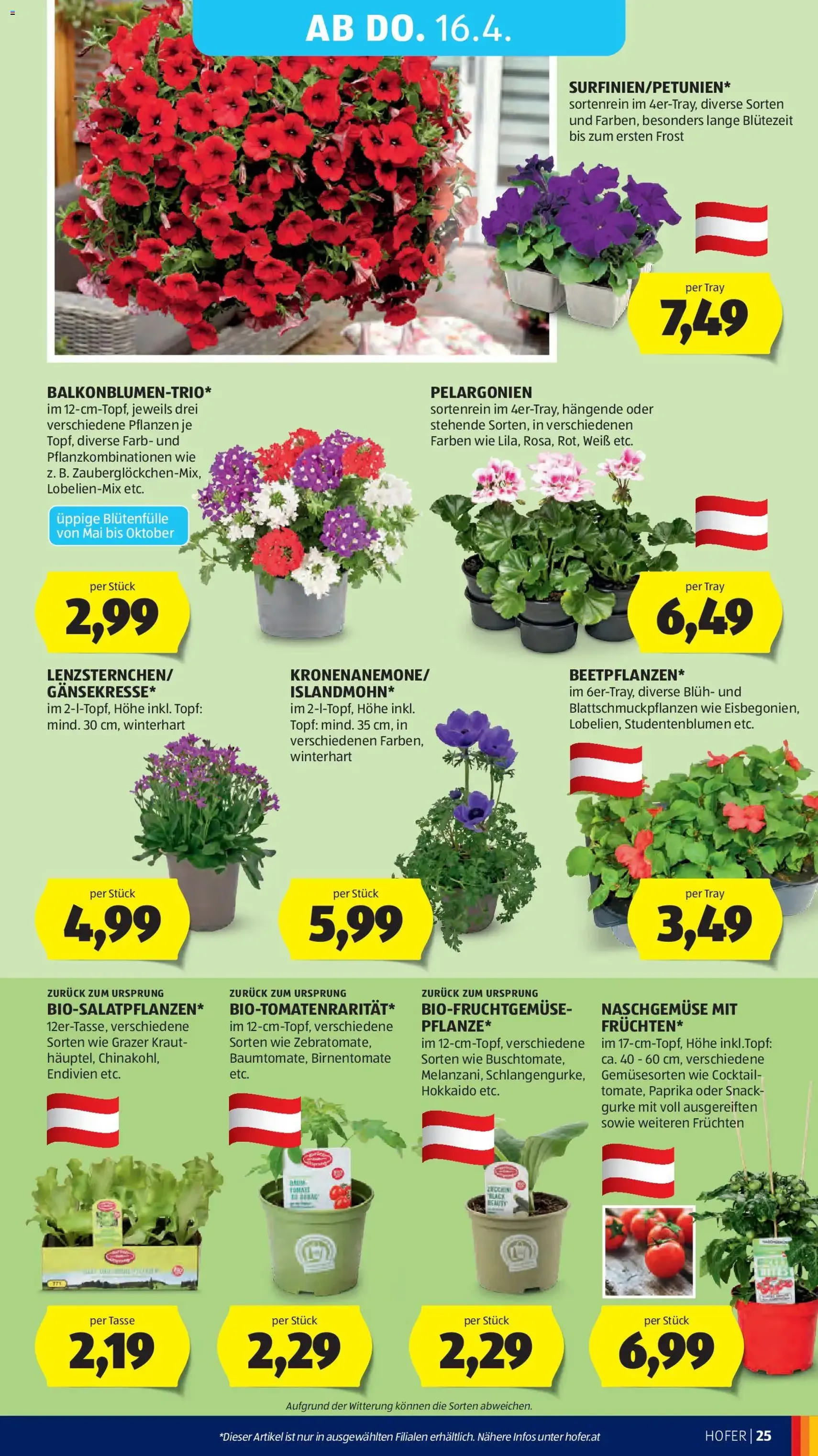 Hofer Flugblatt - Gültiger Prospekt ab 08.04.2026, Seite 29 von insgesamt 37