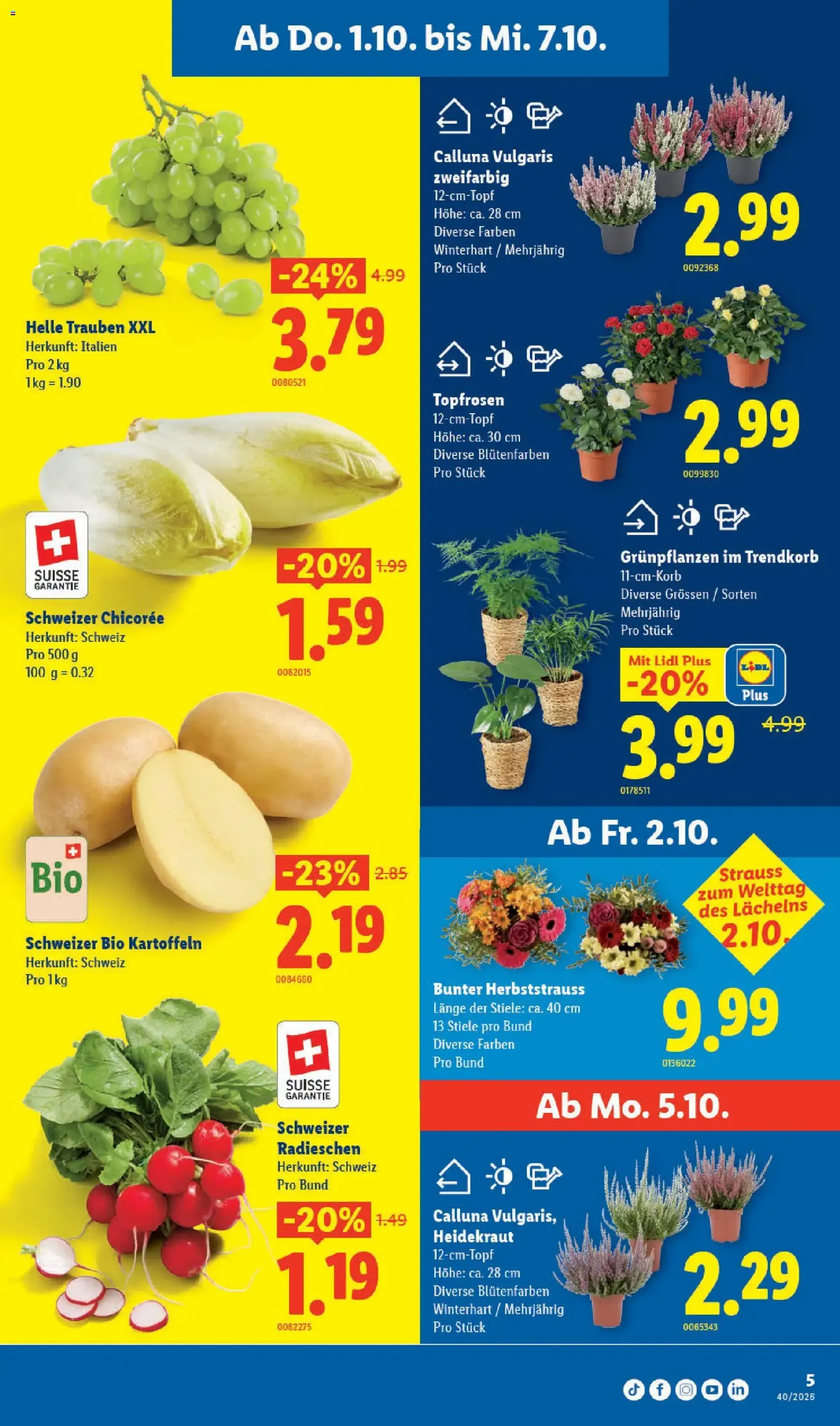 Lidl aktionen - Gültiger Prospekt ab 01.10.2026, Seite 5 von insgesamt 35