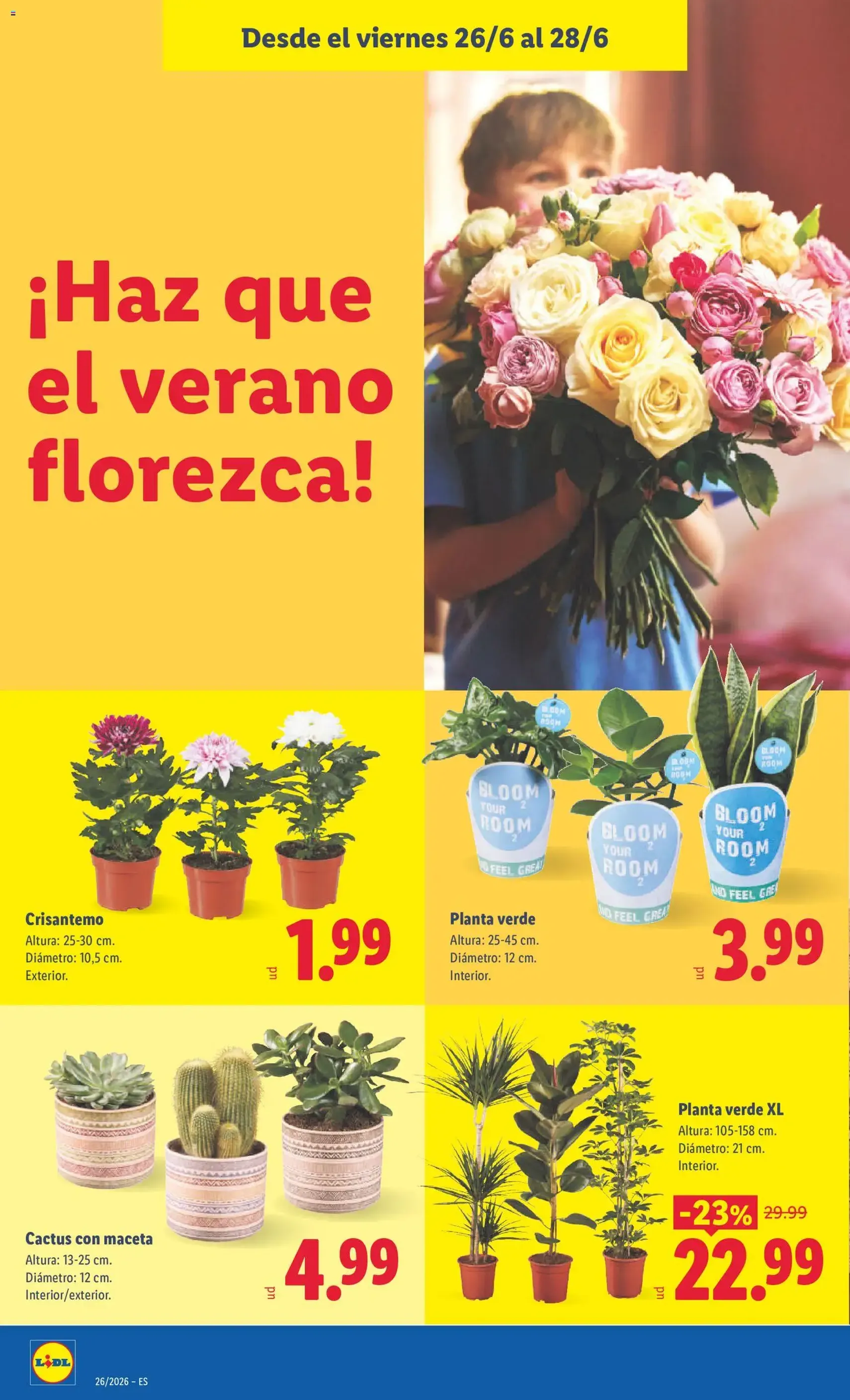 Lidl folleto - folleto válido desde 22/06/2026 página 40 de 43