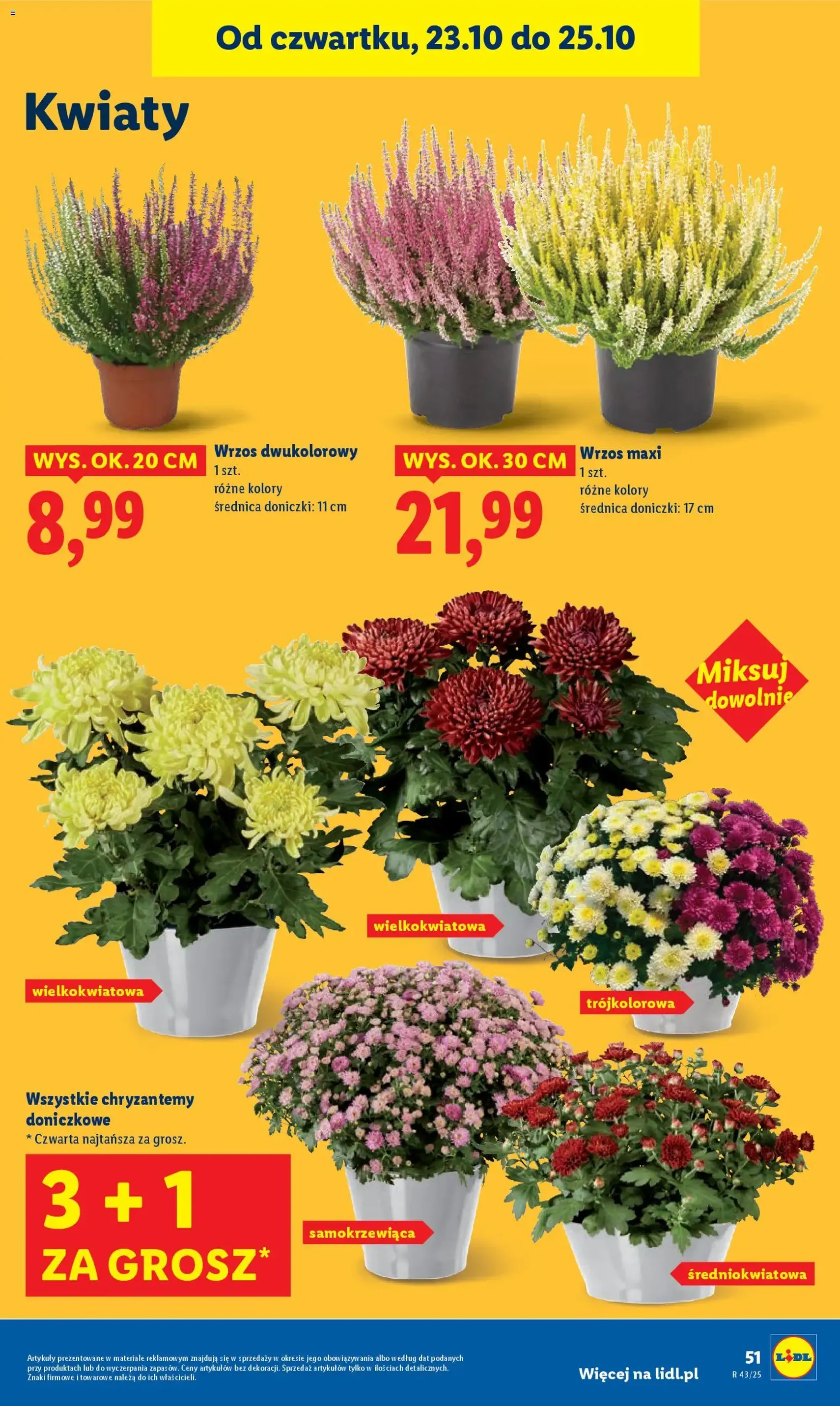 Lidl Gazetka - ważny gazetka od 23.10.2025 strona 55 z 68 Lidl Gazetka - ważny gazetka od 23.10.2025 strona 55 z 68