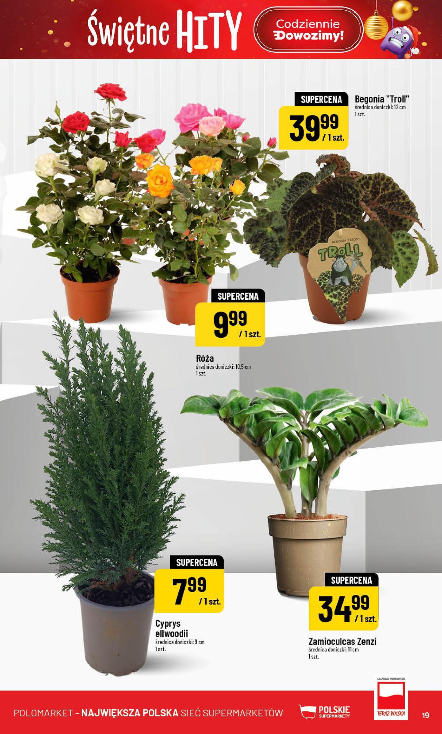 POLOmarket Gazetka - ważny gazetka od 12.11.2025 strona 19 z 84