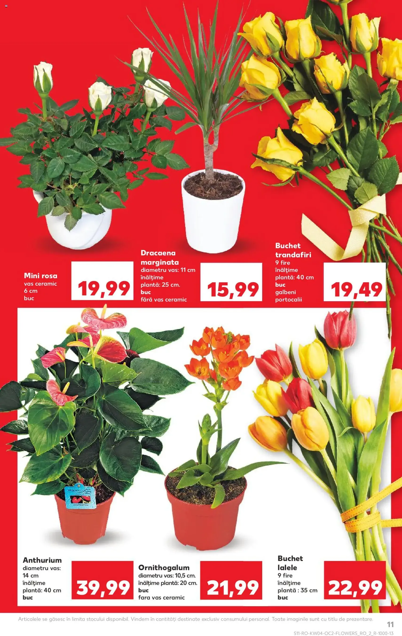 Catalog Kaufland - cataloage valabile începând cu 21.01.2026 pagina 11 din 58