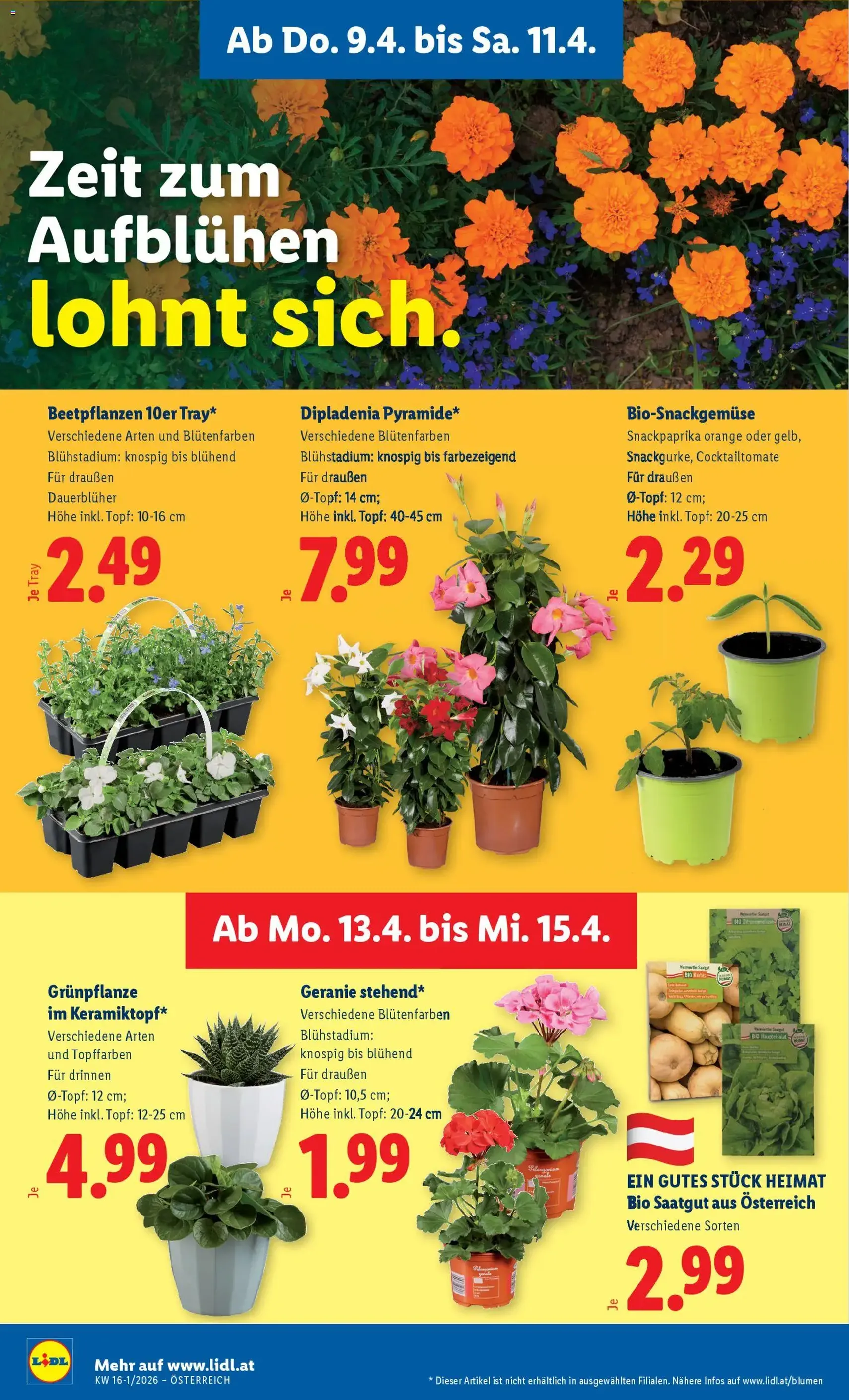 Lidl - Flugblatt - Gültiger Prospekt ab 08.04.2026, Seite 28 von insgesamt 47