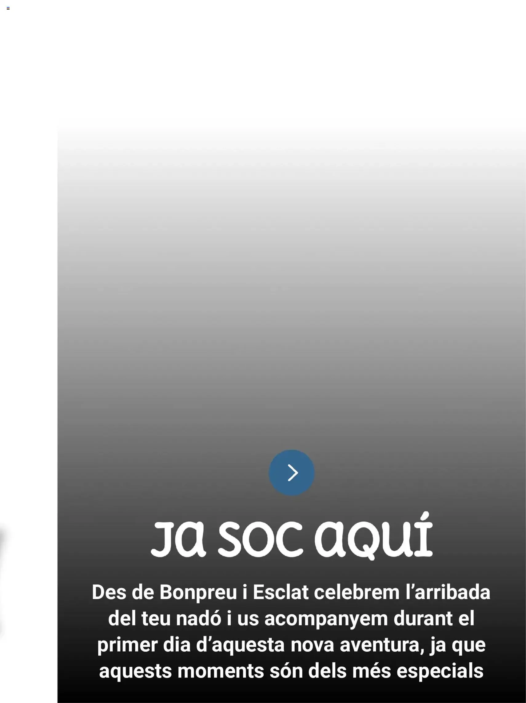 Bonpreu folleto - folleto válido desde 19/05/2026 página 13 de 99