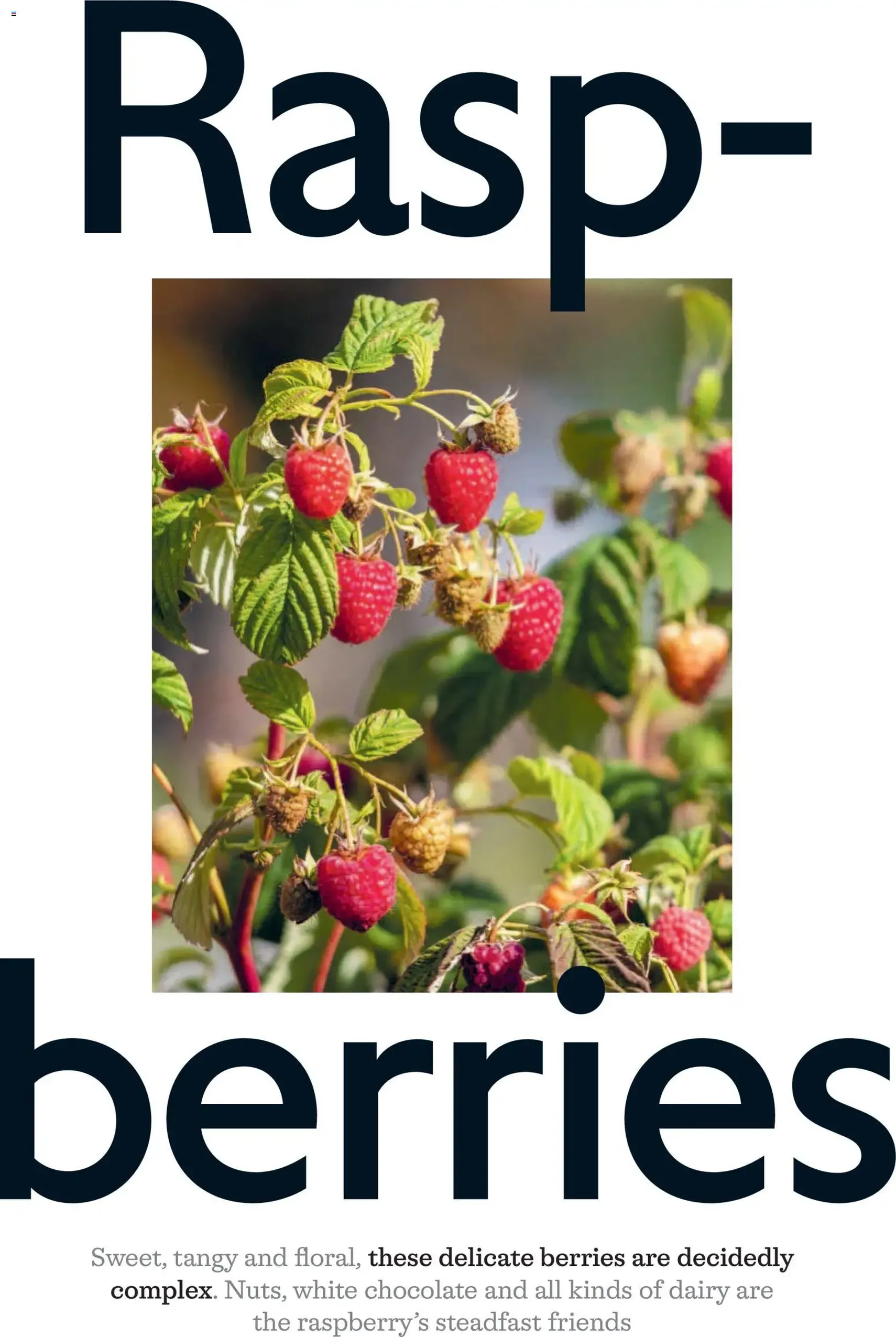 Waitrose Offers - valid flyer from 03/06/2026, page 54 of 128