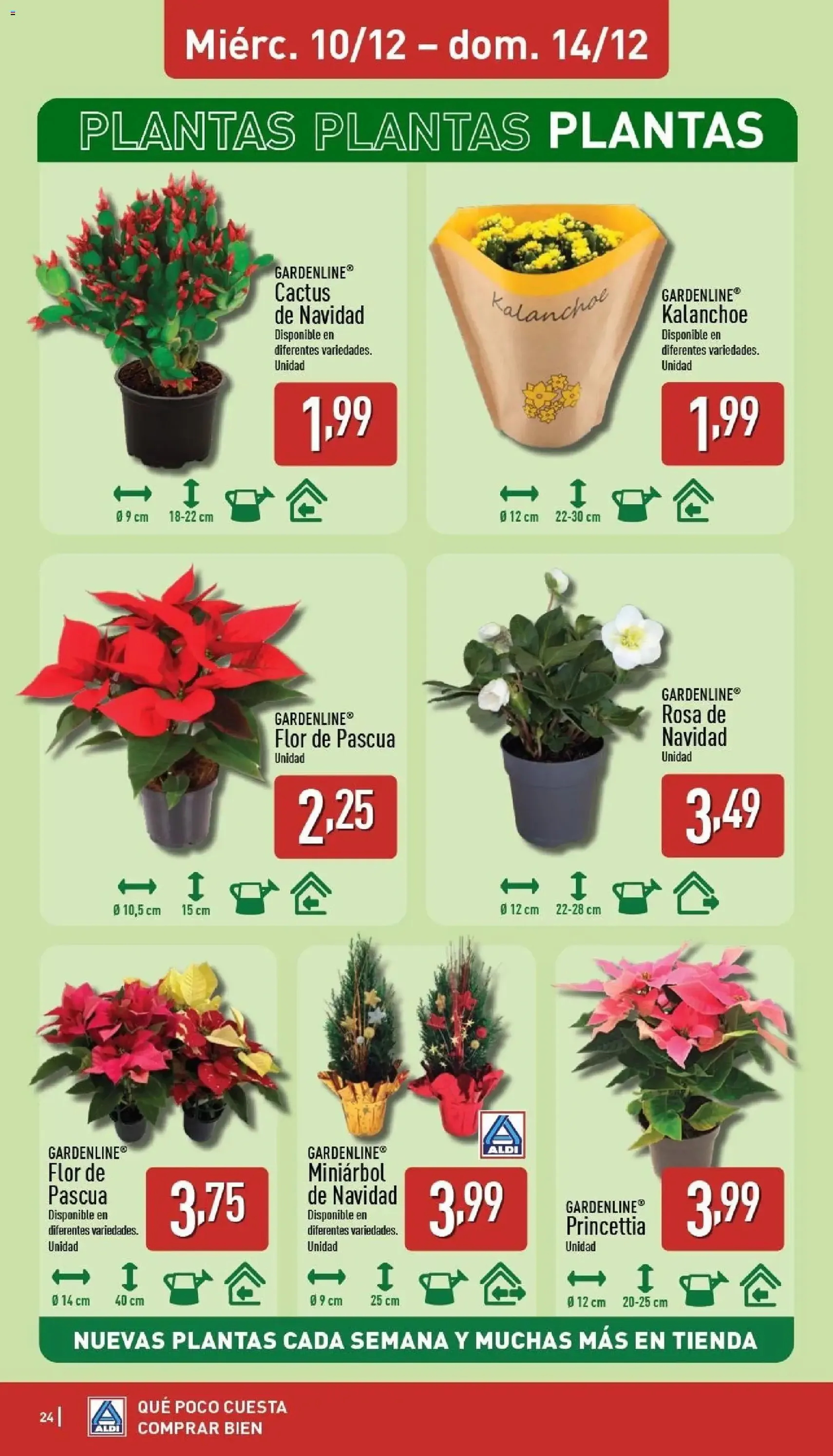 Aldi folleto Península - folleto válido desde 08/12/2025 página 24 de 36