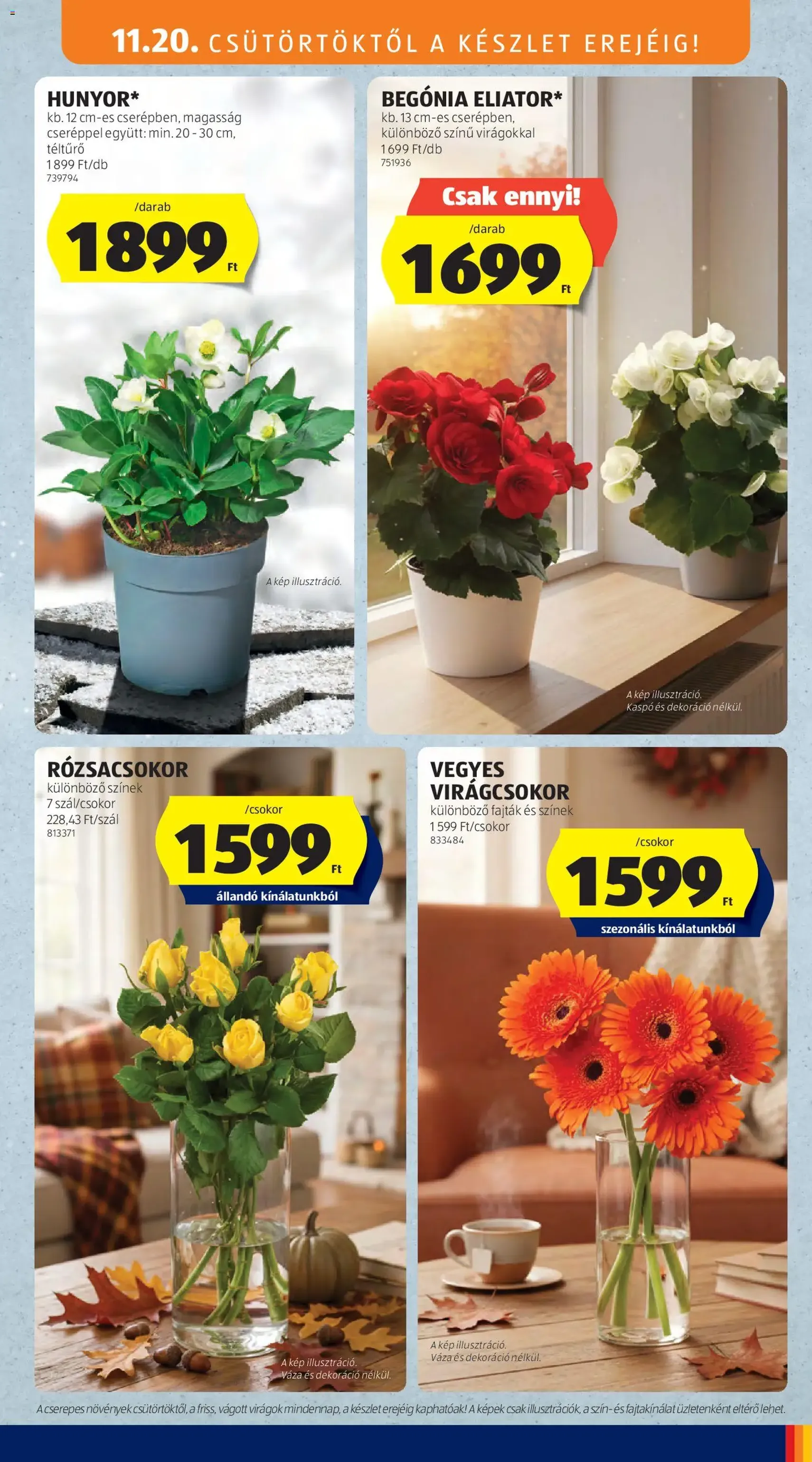 Aldi Akciós újság - 2025.11.20. érvényes szórólap 31 oldal 61 oldalból