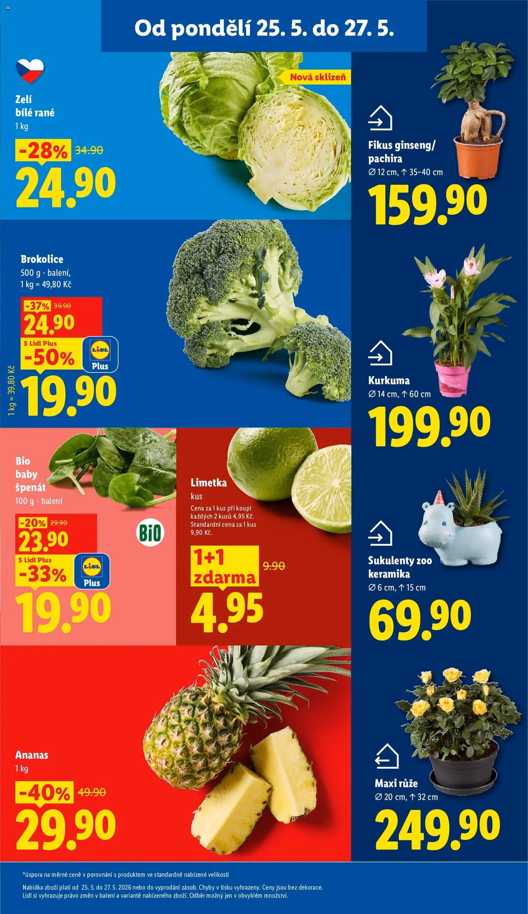 Lidl leták - platný leták od 25.05.2026 strana 11 z 53