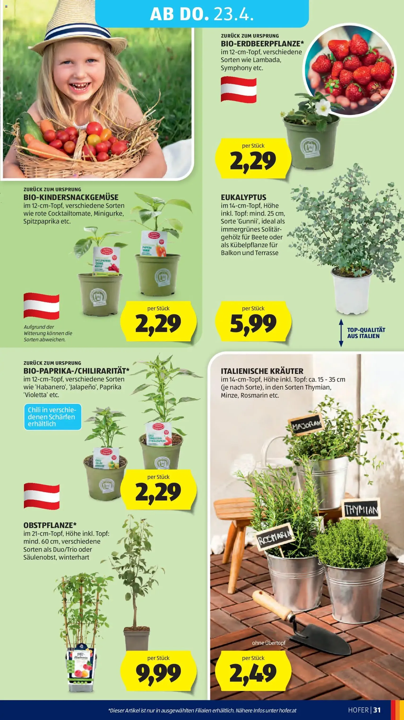 Hofer Flugblatt - Gültiger Prospekt ab 20.04.2026, Seite 35 von insgesamt 45