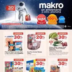 Vista previa del folleto Makro - Catálogo válido desde 29/08/2025