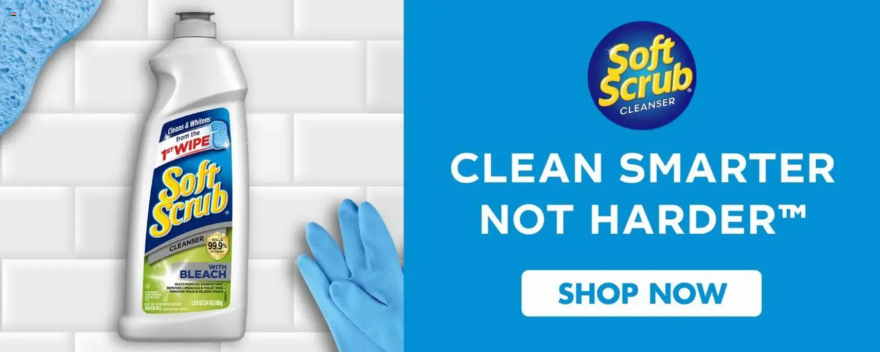 Food Lion Weekly Ad - valid flyer from 11/28/2025, page 11 of 13