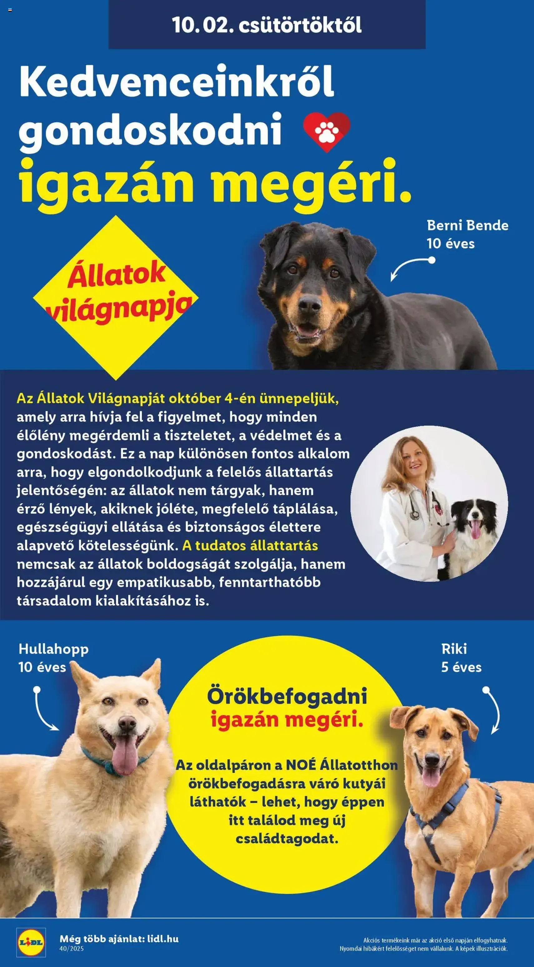 Lidl Akciós újság - 2025.10.02. érvényes szórólap 28 oldal 76 oldalból Lidl Akciós újság - 2025.10.02. érvényes szórólap 28 oldal 76 oldalból
