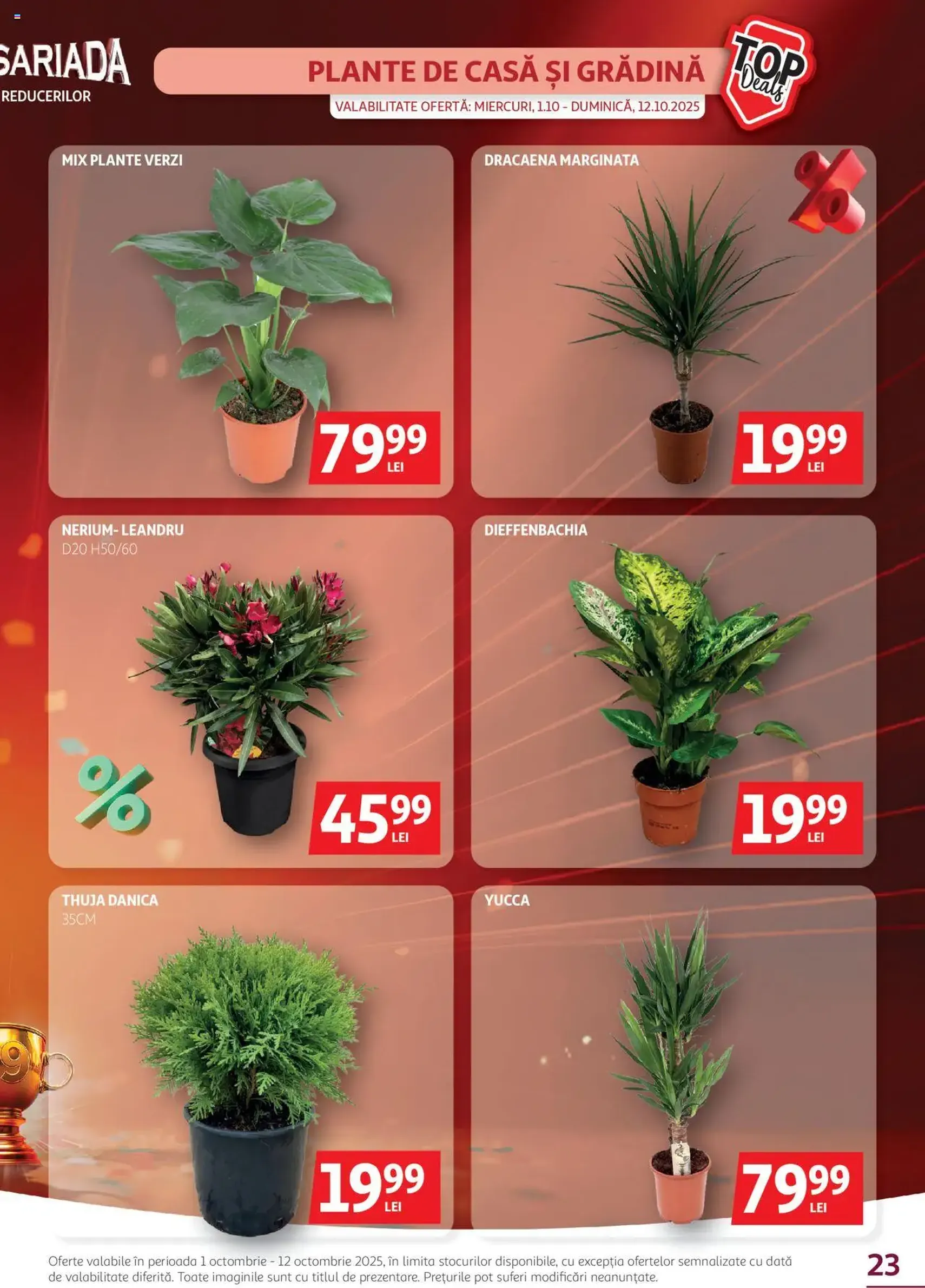 Catalog Auchan - cataloage valabile începând cu 01.10.2025 pagina 23 din 28