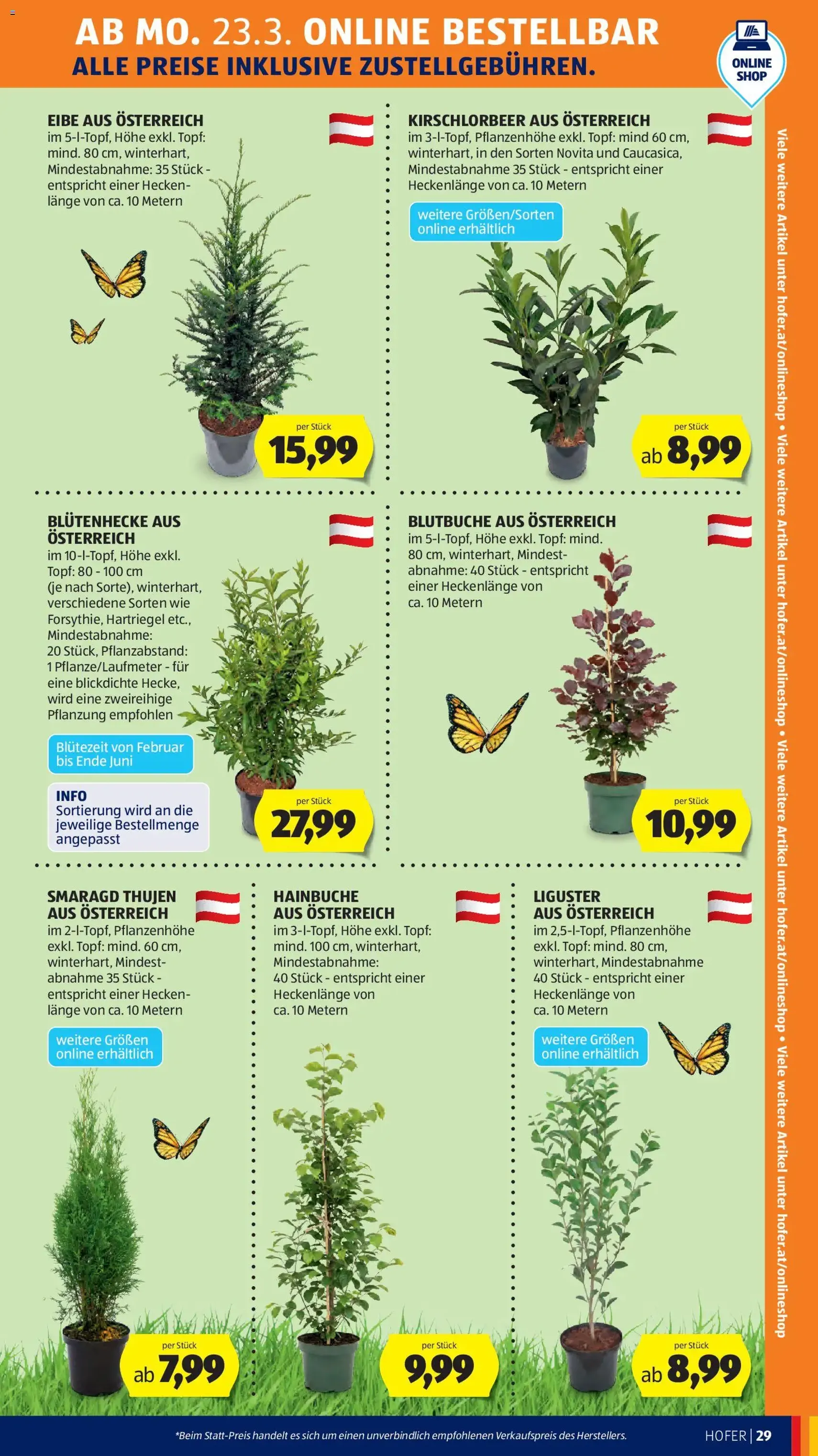 Hofer Flugblatt - Gültiger Prospekt ab 23.03.2026, Seite 37 von insgesamt 49