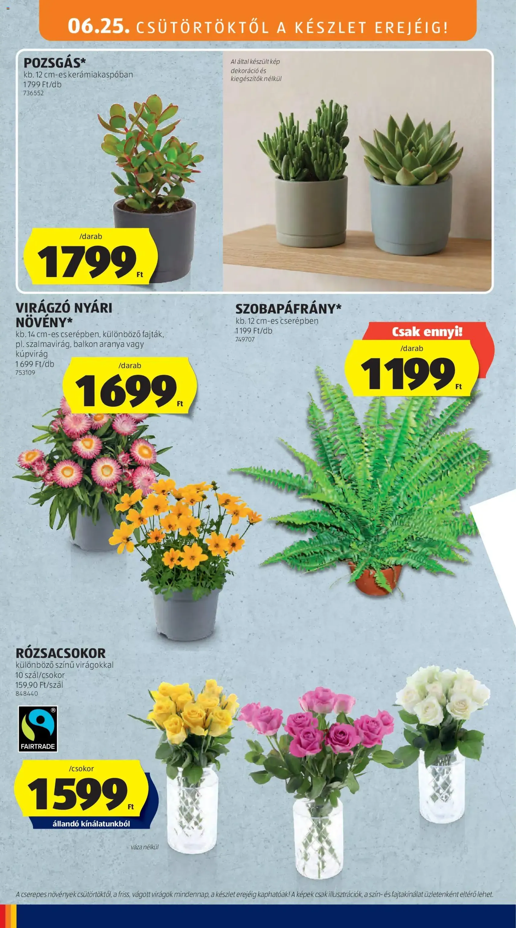 Aldi akciós újság - 2026.06.25. érvényes szórólap 30 oldal 62 oldalból