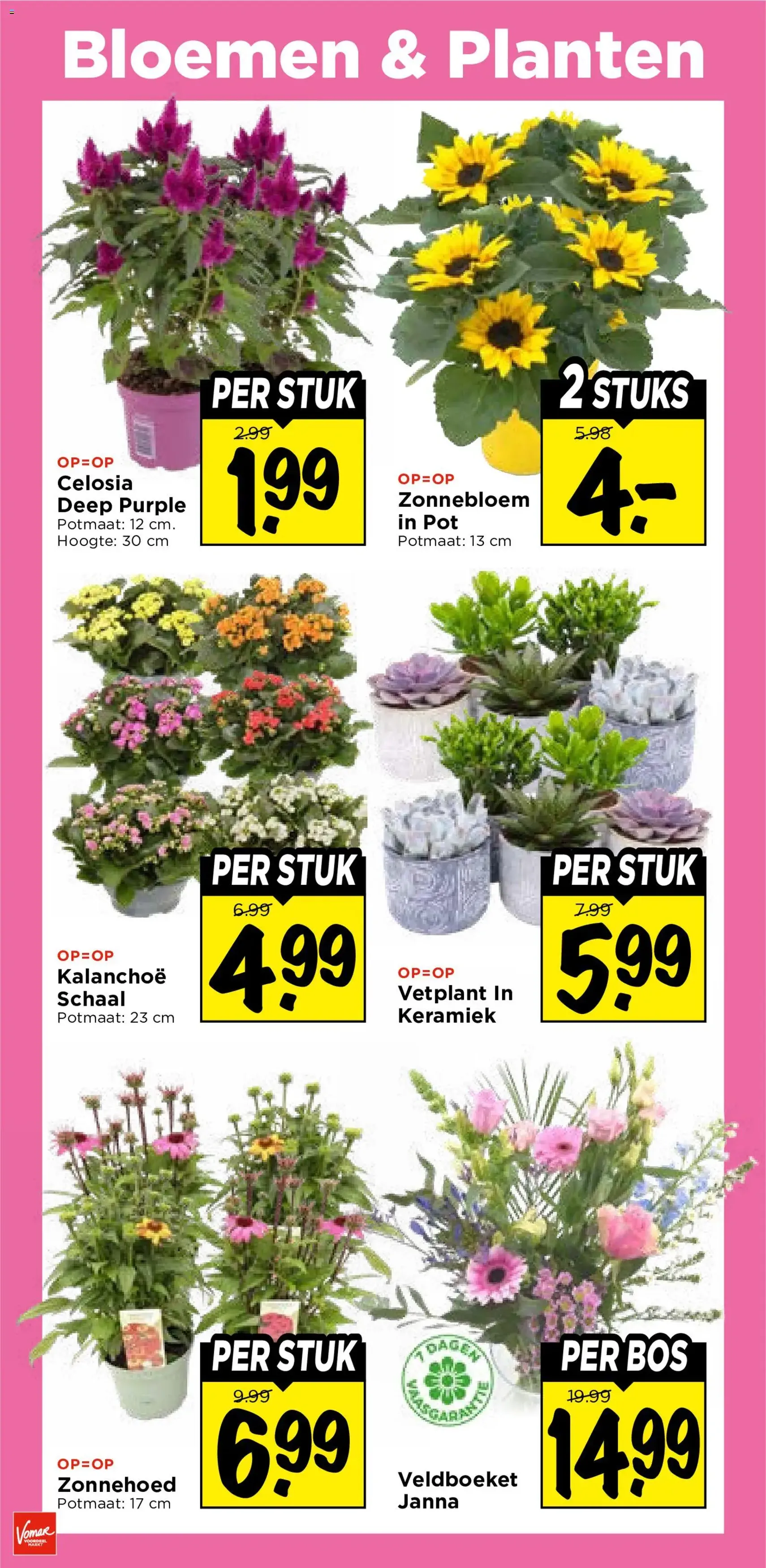 Vomar folder - geldige folder vanaf 26-07-2026 pagina 28 van 37
