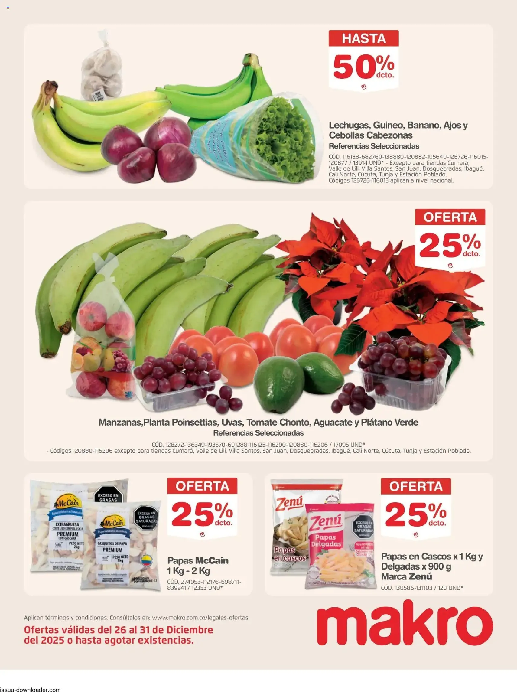 Makro - Catálogo - folleto válido desde 26/12/2025 página 13 de 33