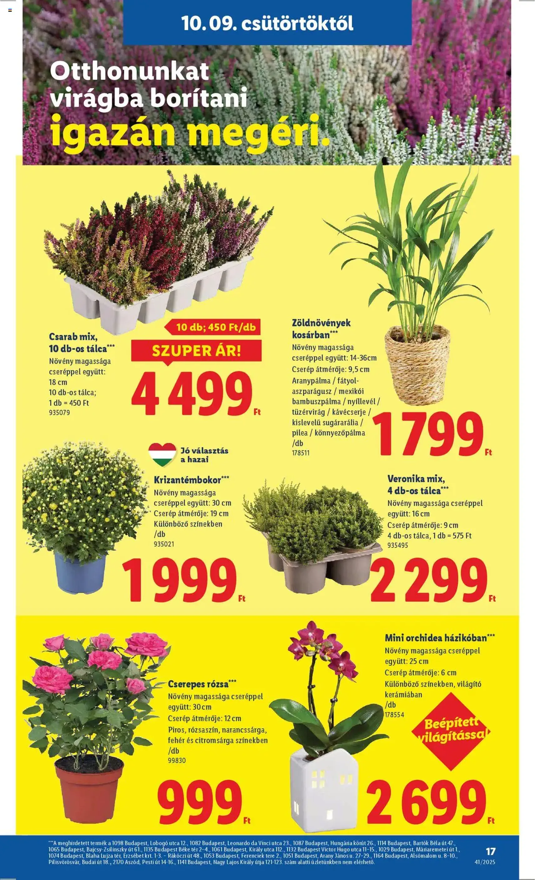 Lidl Akciós újság - 2025.10.09. érvényes szórólap 17 oldal 64 oldalból