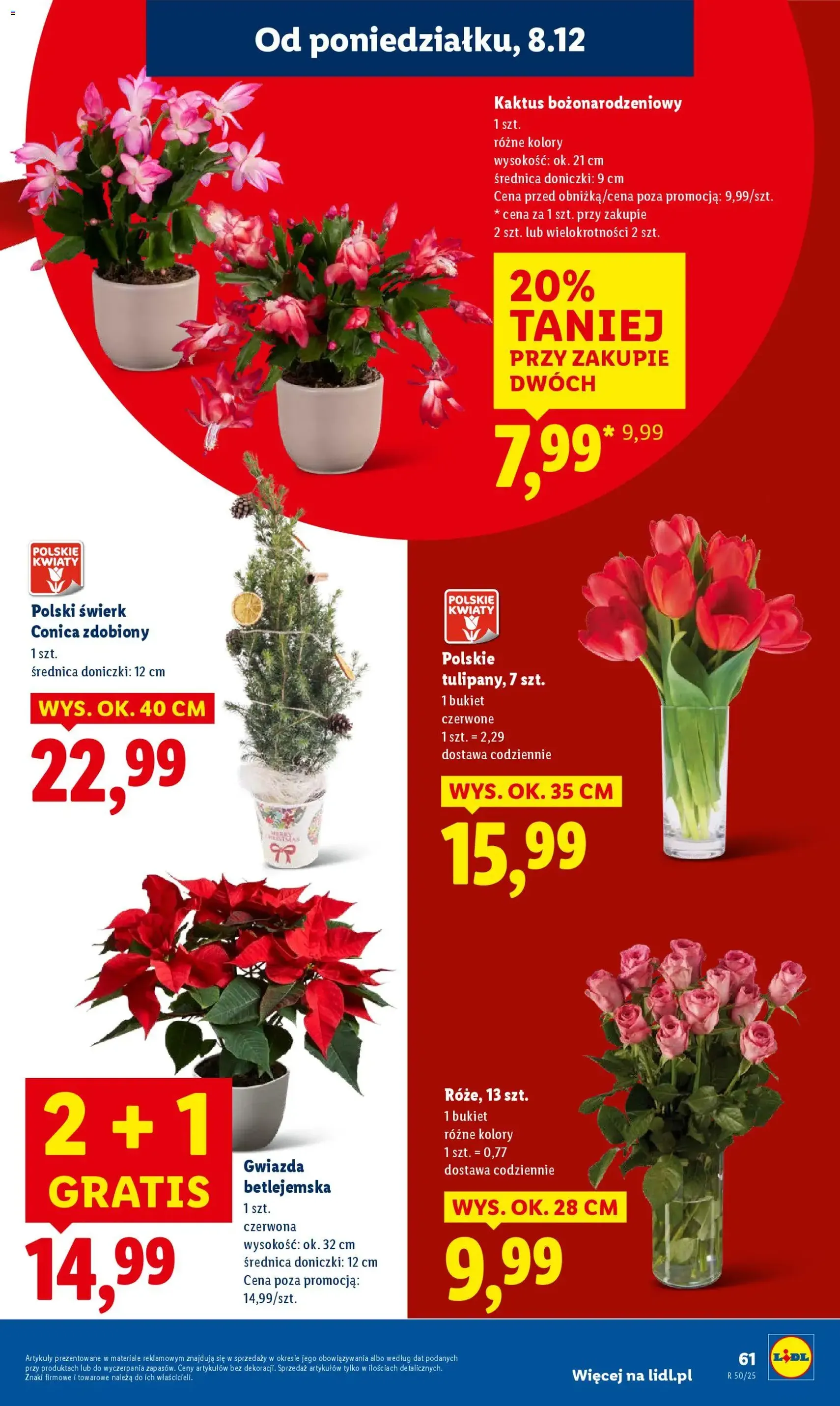 Lidl Gazetka - ważny gazetka od 08.12.2025 strona 69 z 70