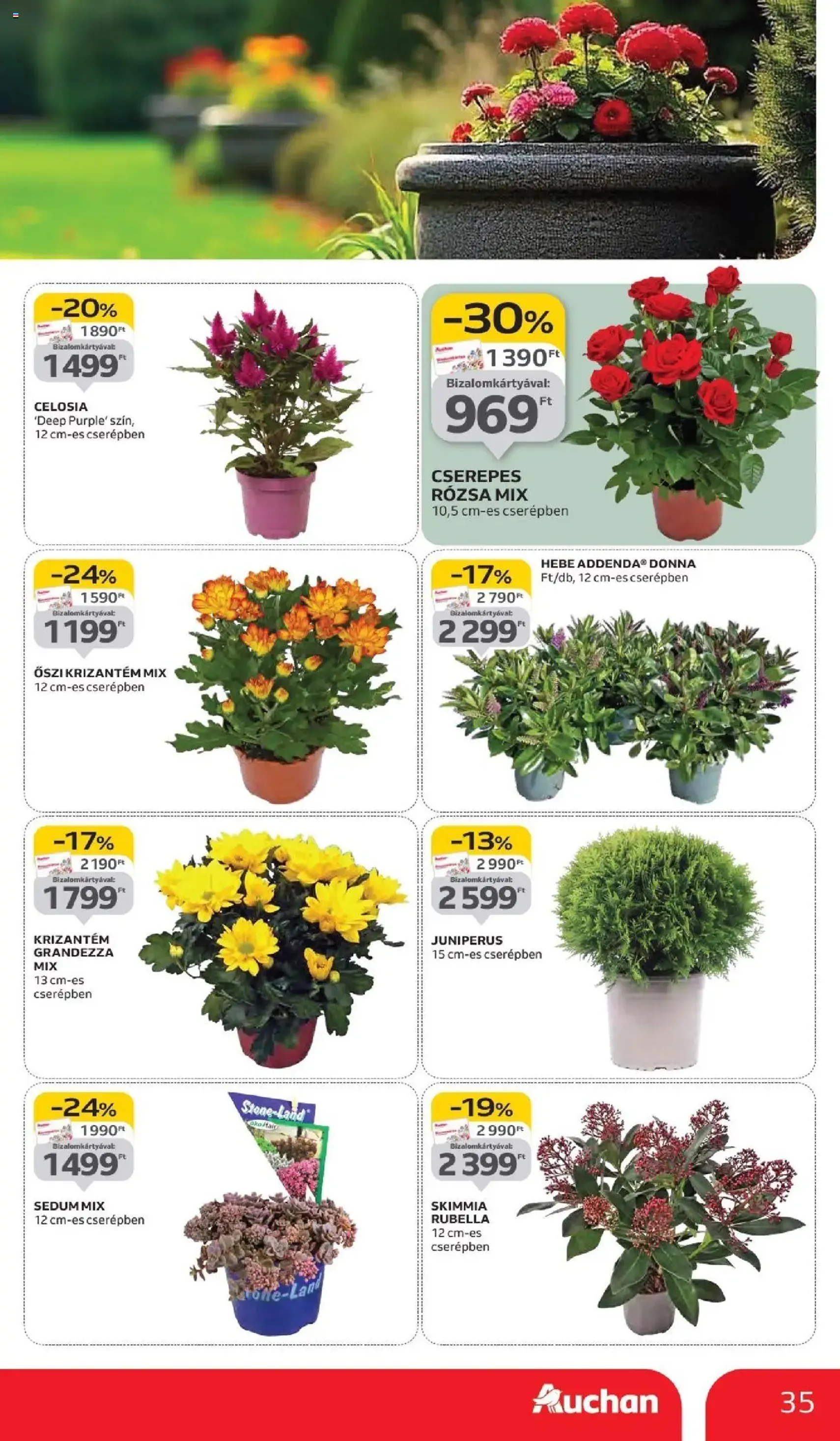 Auchan Akciós újság - 2025.09.11. érvényes szórólap 35 oldal 42 oldalból Auchan Akciós újság - 2025.09.11. érvényes szórólap 35 oldal 42 oldalból