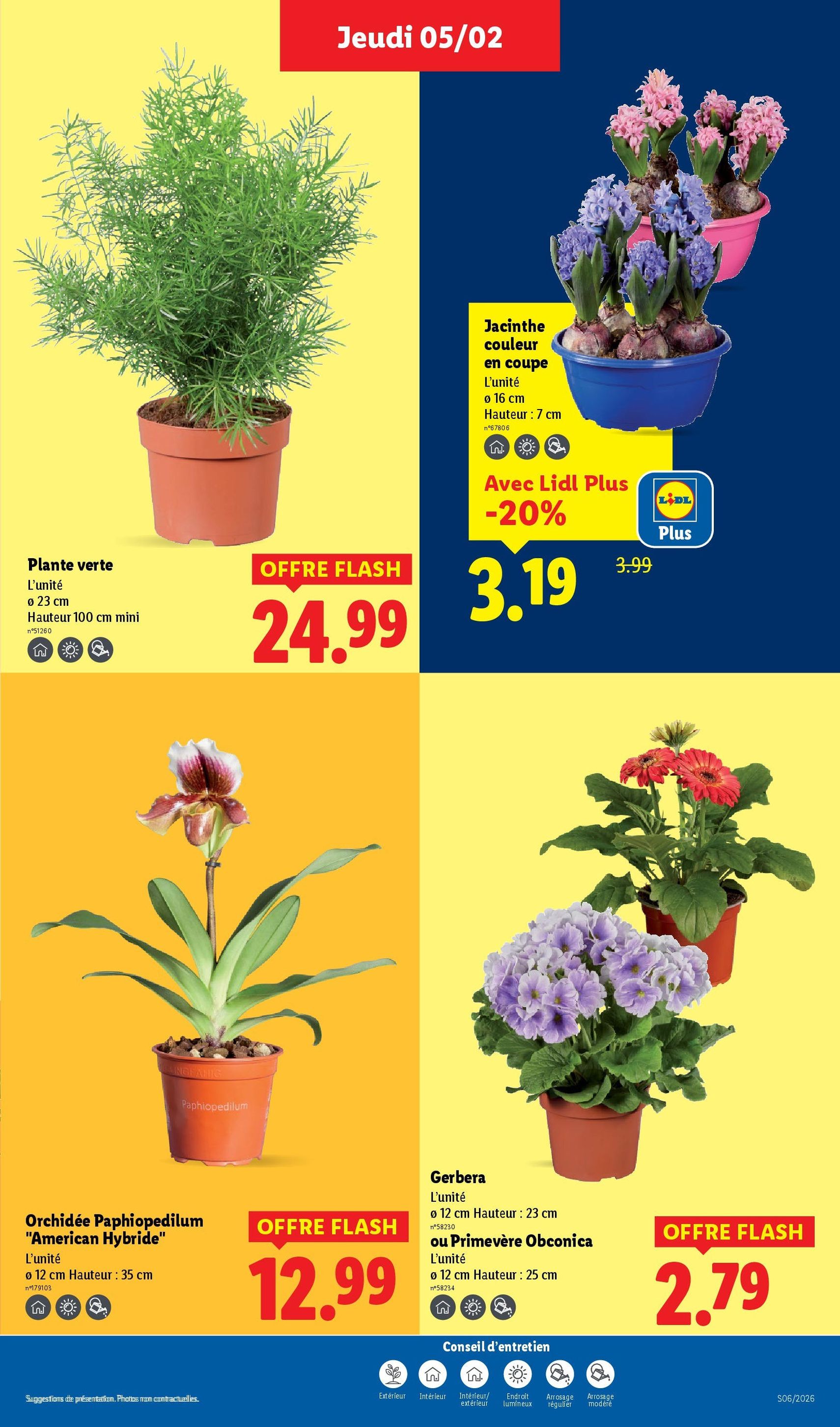 LIDL catalogue semaine 6 - brochure valable à partir du 05/02/2026, page 31 sur 78