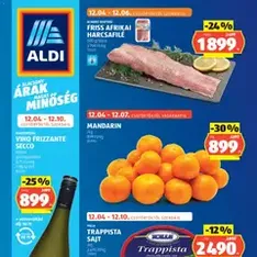 Aldi Akciós újság - szórólap előnézete érvényes 2025.12.04. -tól