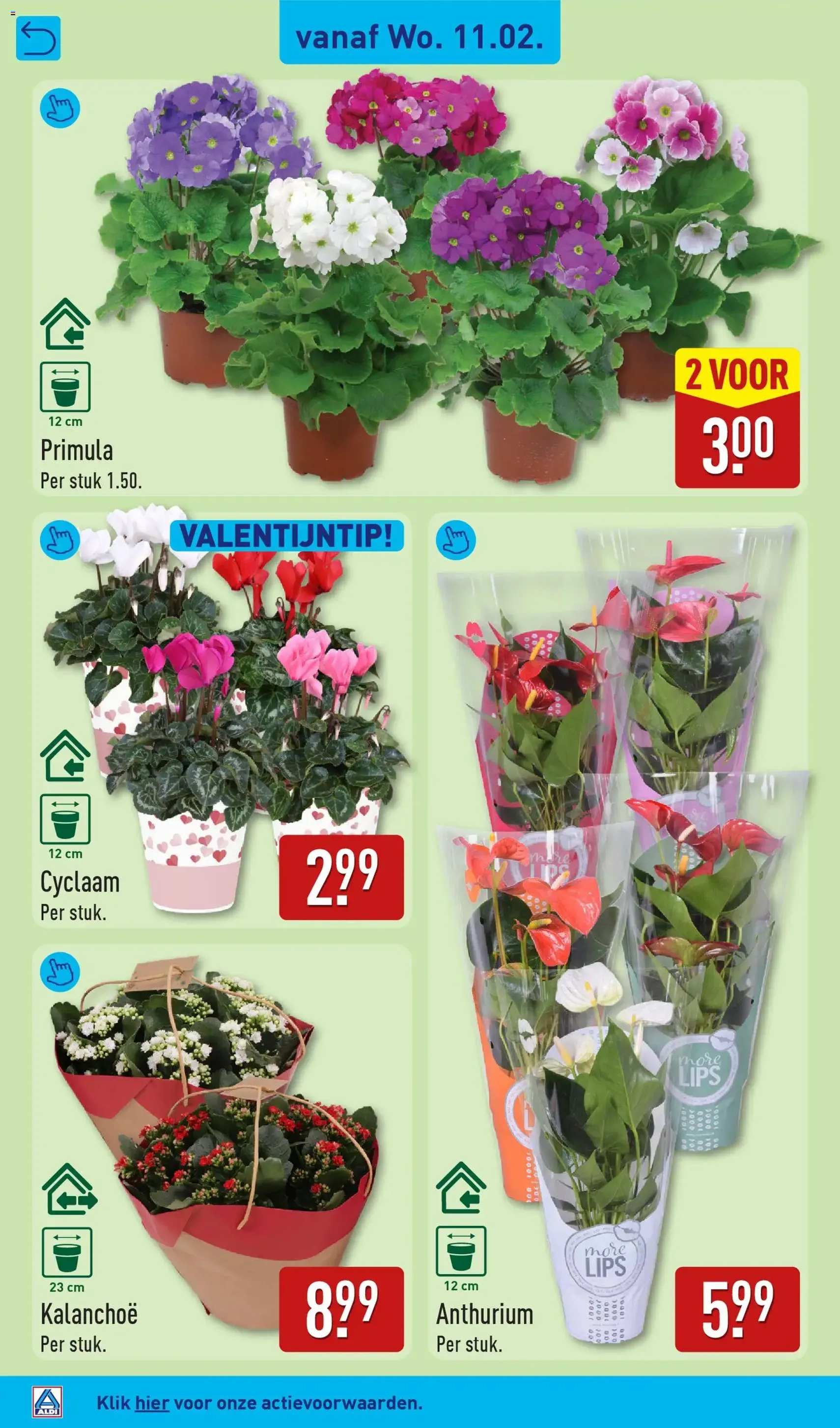 Aldi - Folder week 7 - geldige folder vanaf 09-02-2026 pagina 38 van 66