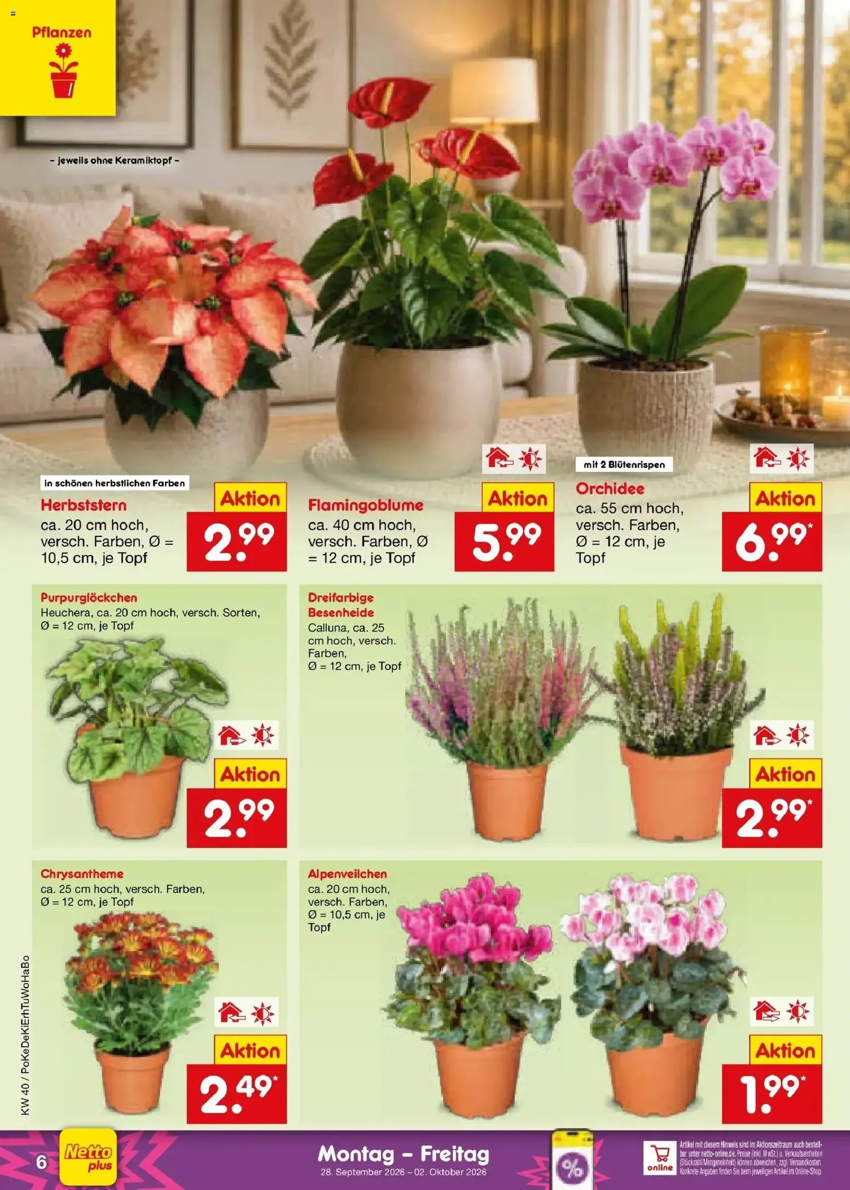 Netto Marken-Discount Prospekt - Gültiger Prospekt ab 28.09.2026, Seite 6 von insgesamt 72