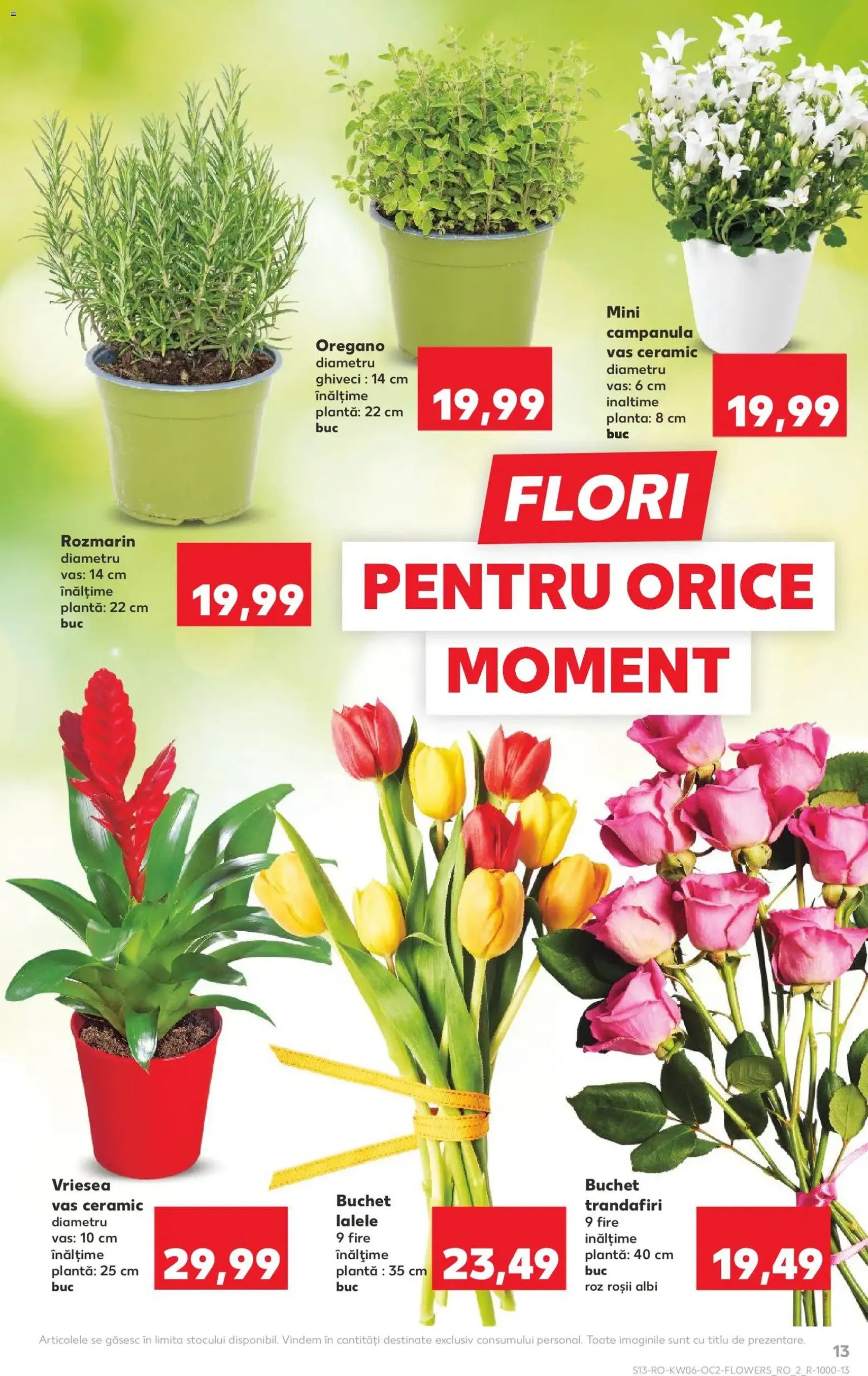 Catalog Kaufland - cataloage valabile începând cu 04.02.2026 pagina 13 din 60
